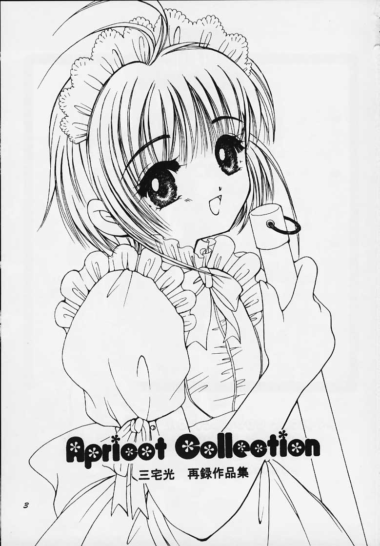 Apricot Collection page 2 full