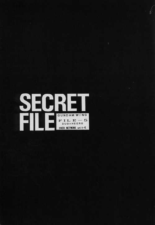 SECRET FILE FILE-5 page 3 full