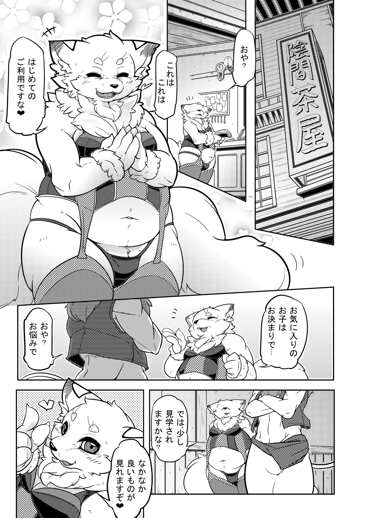 ♂ Kemo Lingerie Book page 4 full