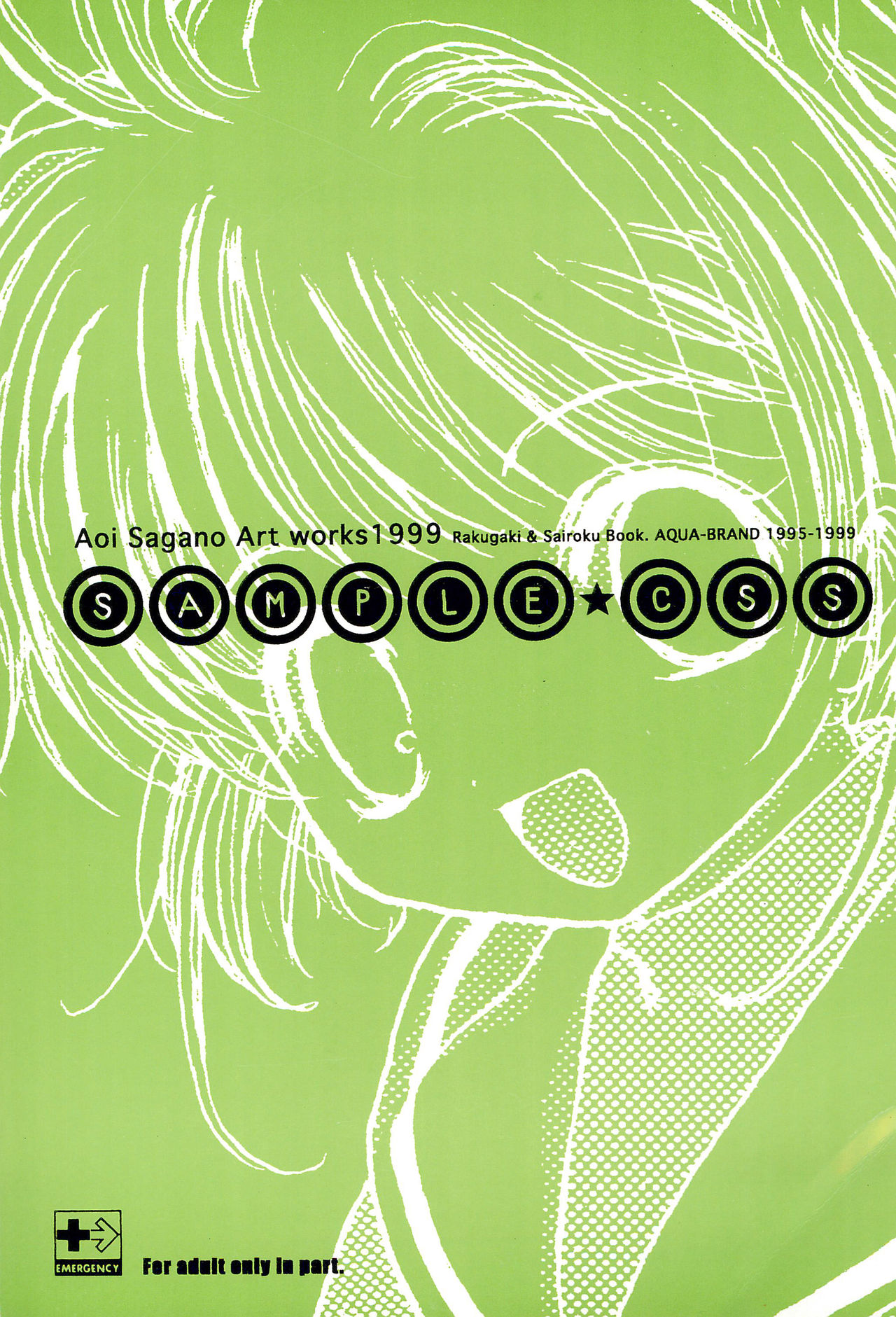 SAMPLE CSS page 1 full