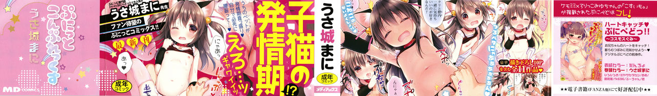 Punitto Complex page 2 full