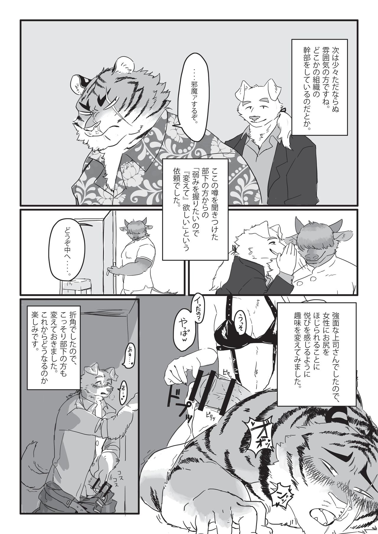 2018 Brainwashing Society Case Report Vol.2/TFWS page 7 full