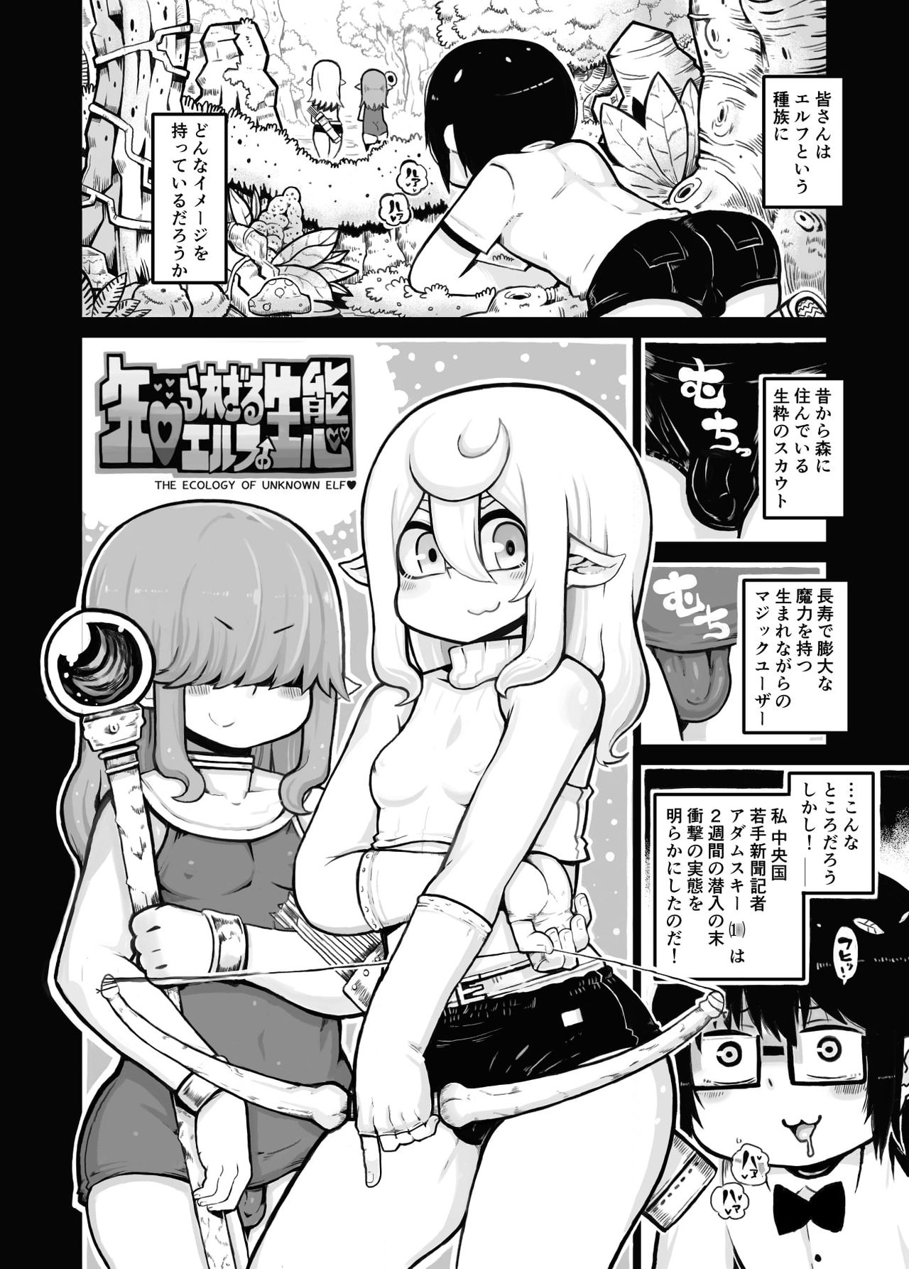 Shirarezaru Elf no Seitai page 1 full