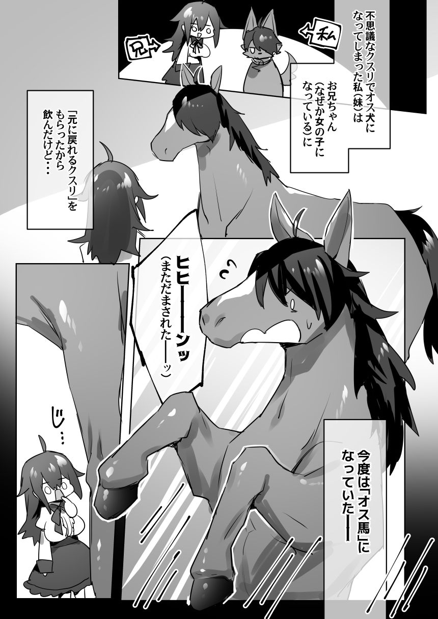 オス馬になった妹と女体化した兄がなんかする漫画 page 2 full