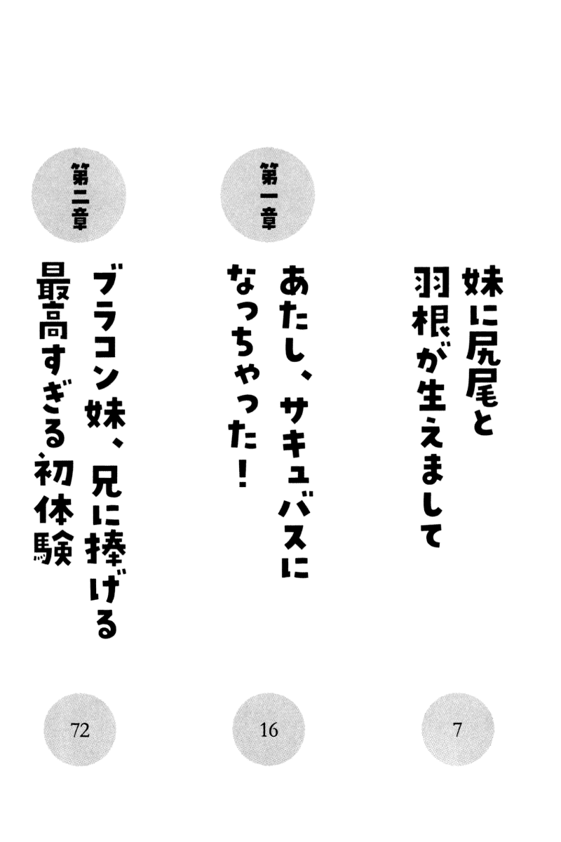 妹サキュバス! page 10 full