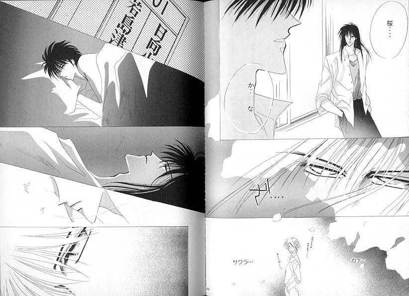 Bisei Shinjuu page 9 full