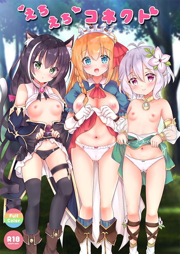 Echiechi Connect page 1 full