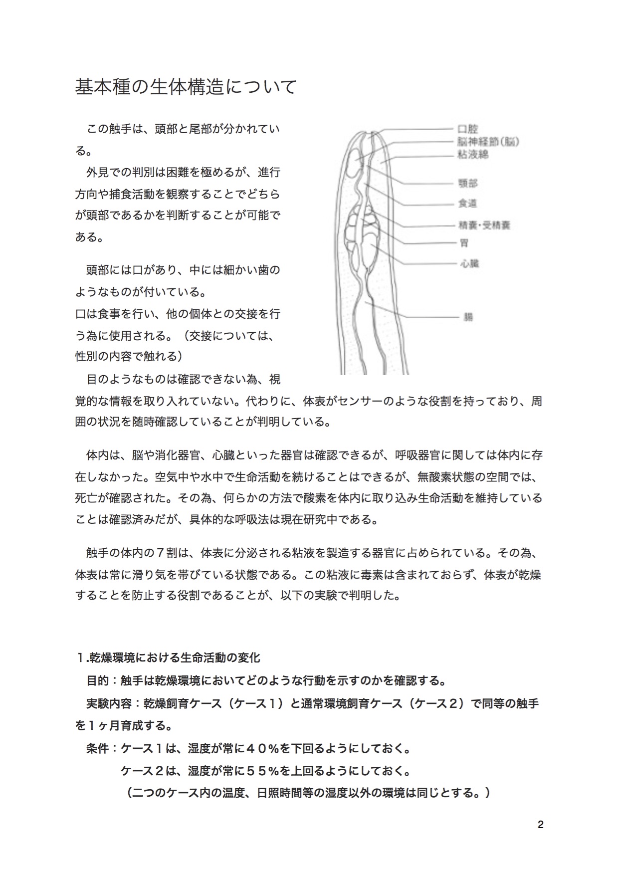 触手研究レポート 体内寄生型 基本種 page 5 full