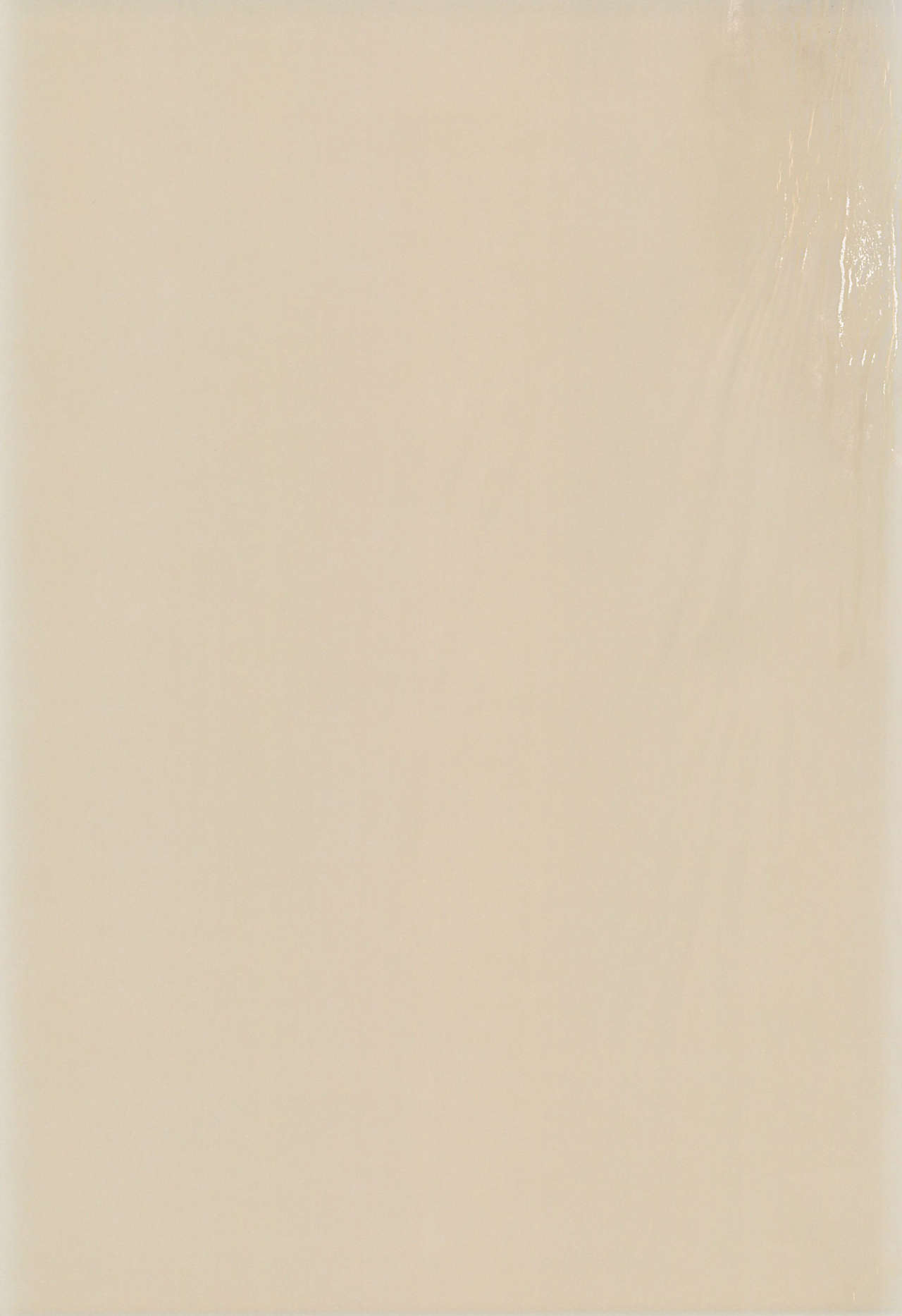 Sekai de Ichiban Neko Maid page 3 full