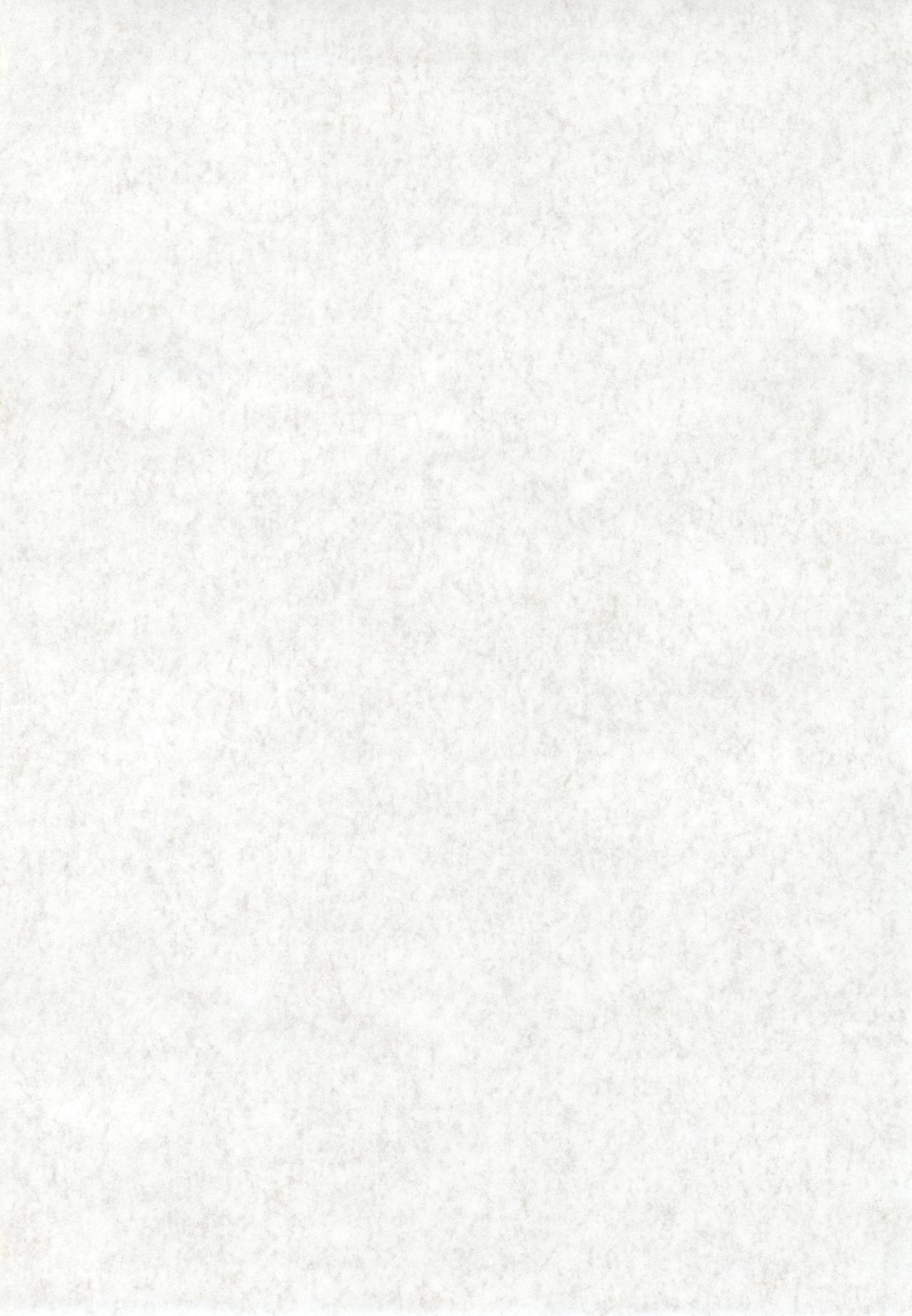 Fiance Tsuushin 2006 - Fuyu no Gou page 3 full