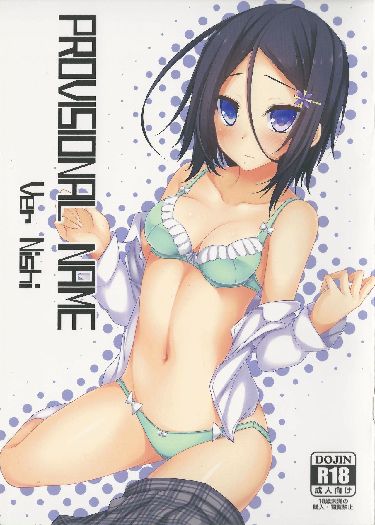 PROVISIONAL NAME Ver Nishi page 1 full