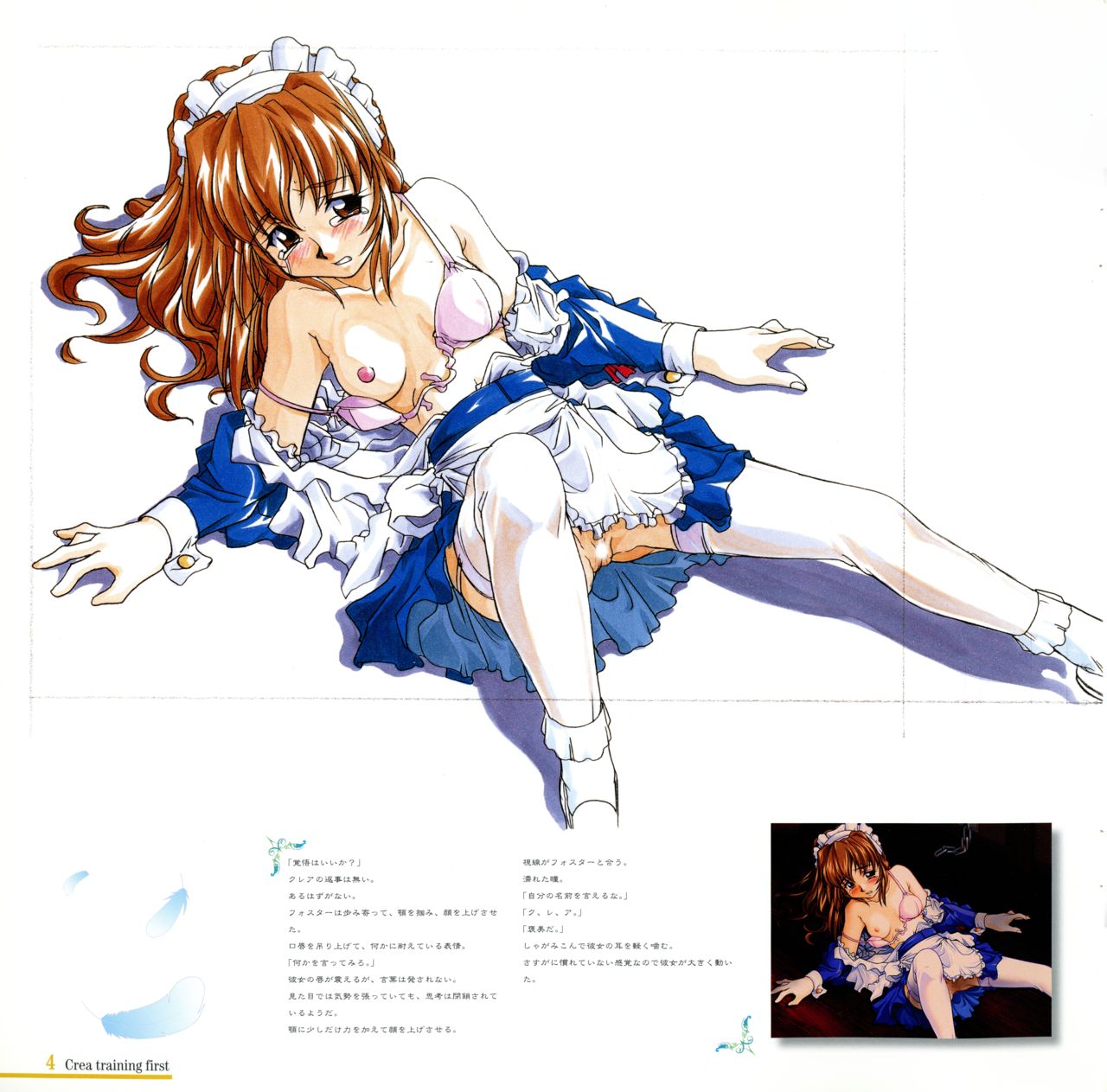 Kara no Naka no Kotori ／ Hinadori no Saezuri_Art Book page 4 full