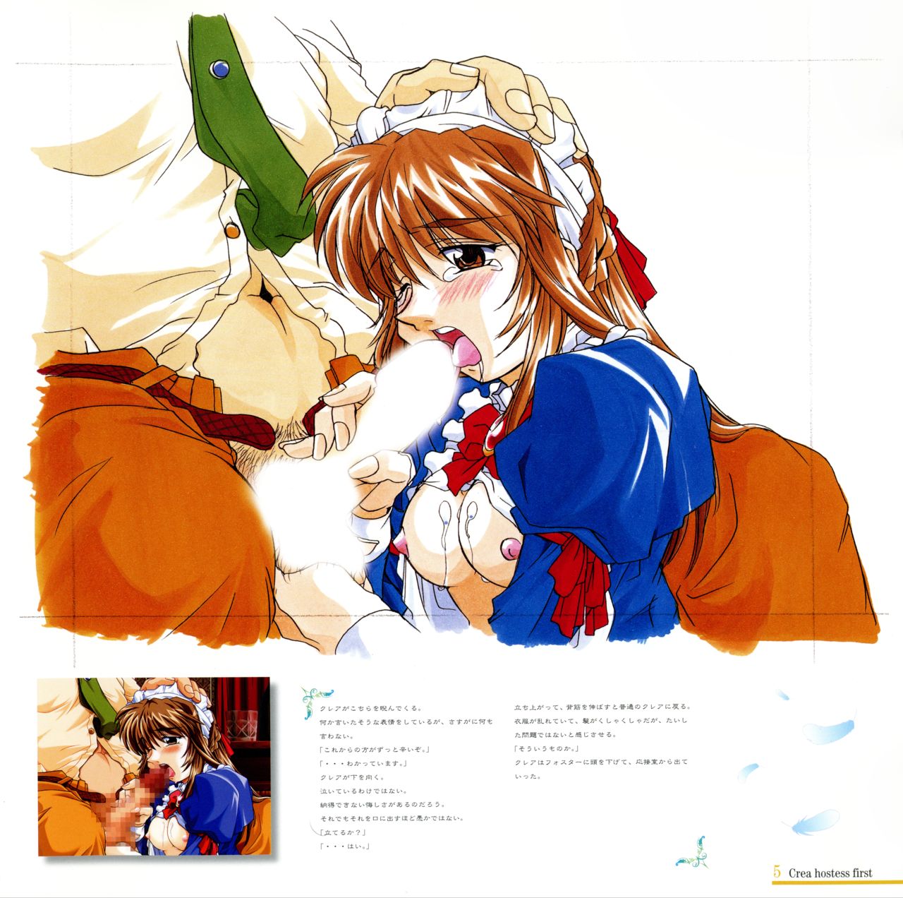 Kara no Naka no Kotori ／ Hinadori no Saezuri_Art Book page 5 full