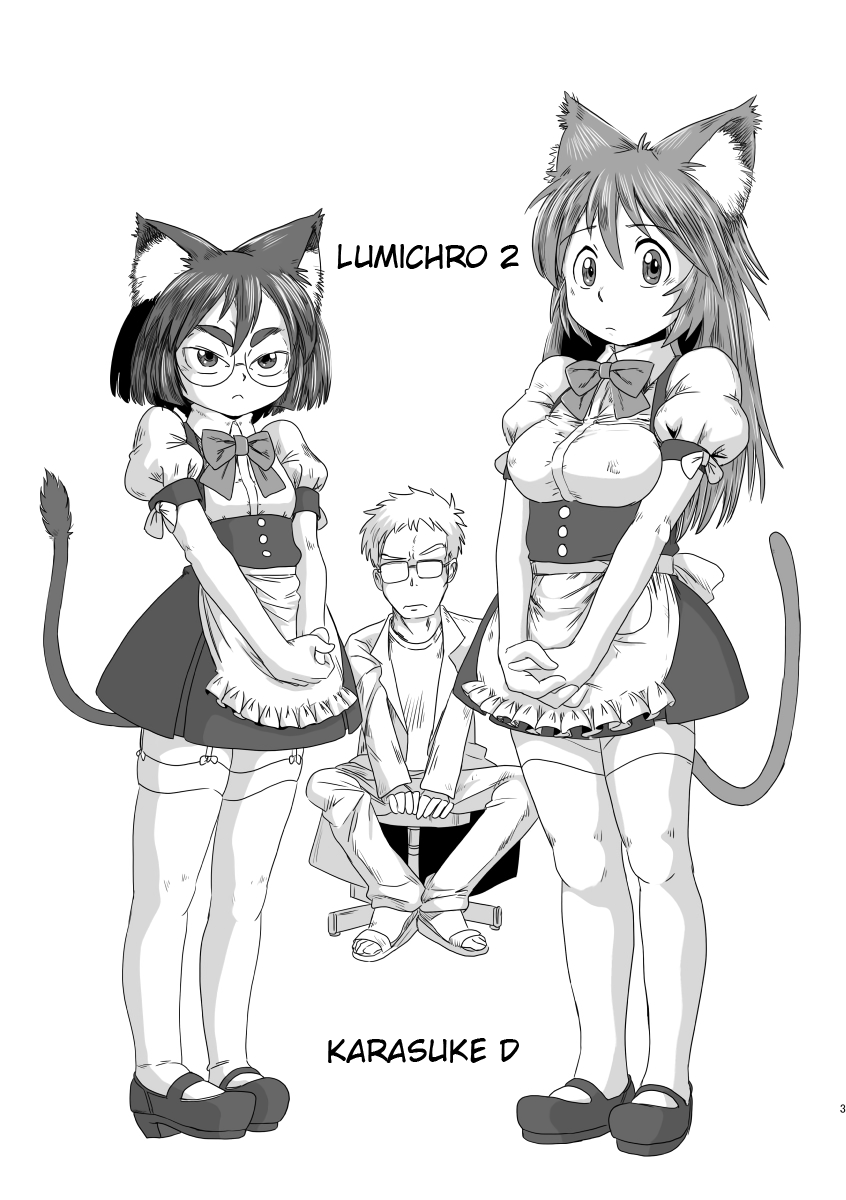 LumiChro 2 page 2 full