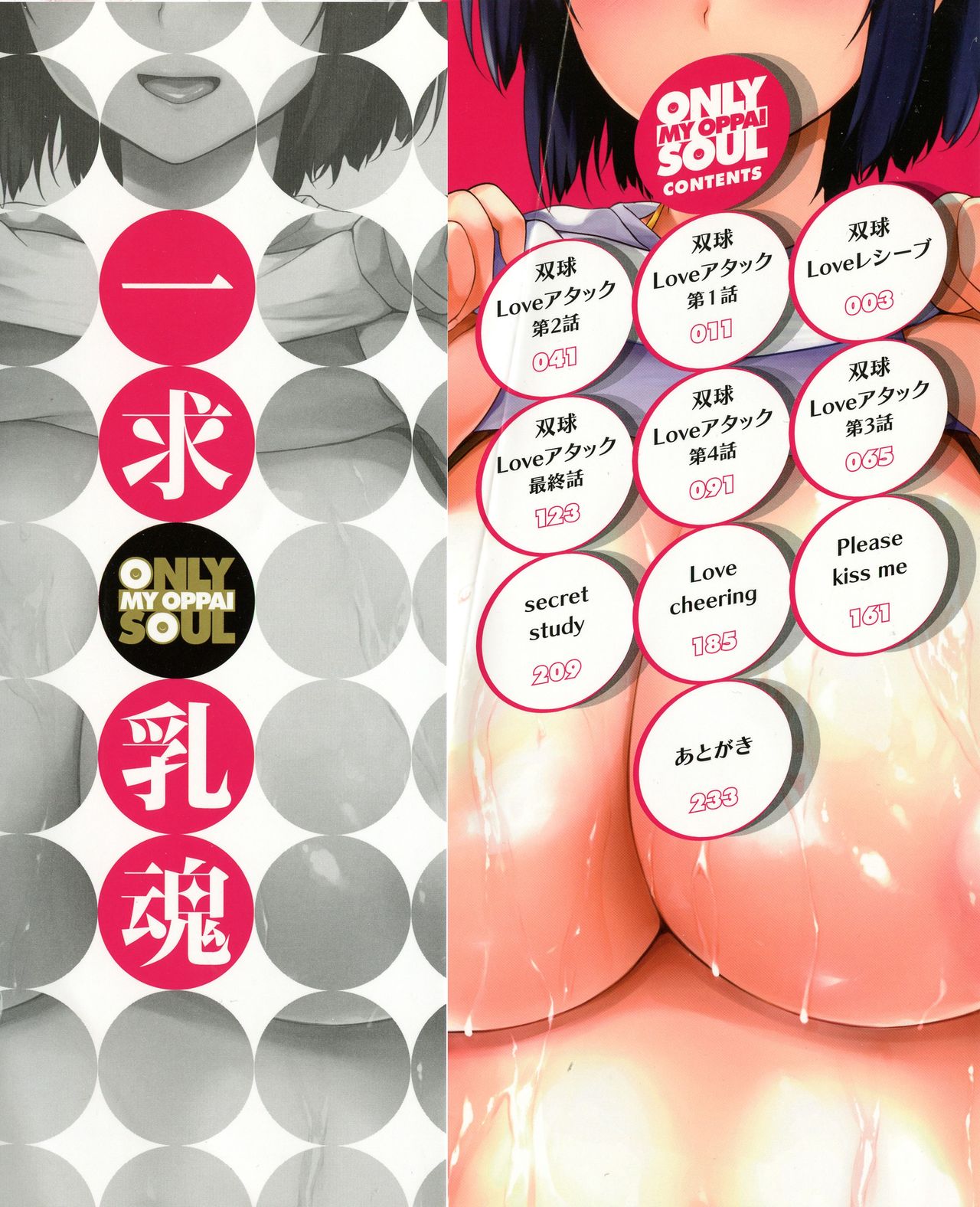 Ikkyuu Nyuukon - Only My Oppai Soul page 3 full