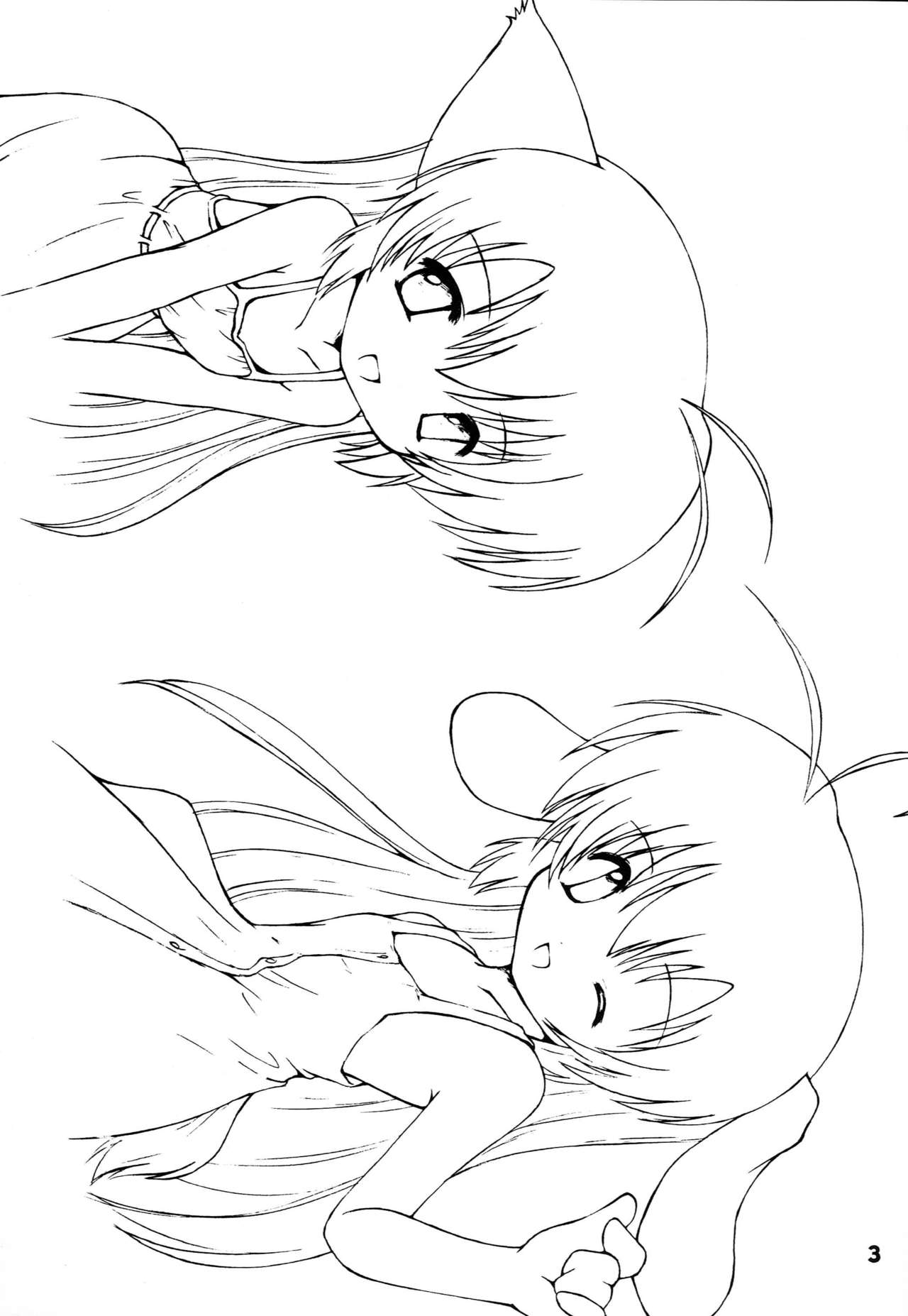 Hajimete no Nekomimi page 2 full