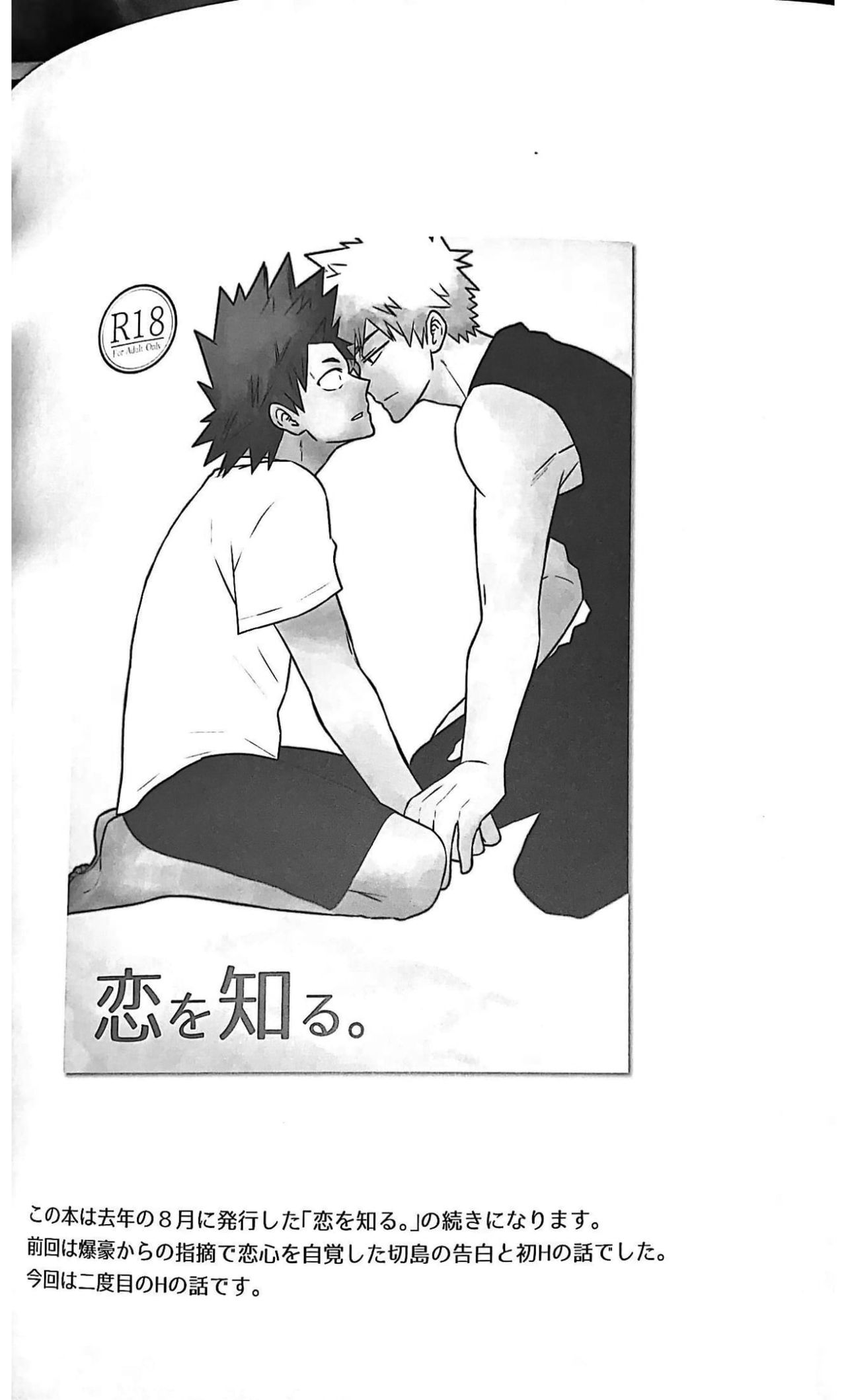 Koi ni Tomadou. page 2 full