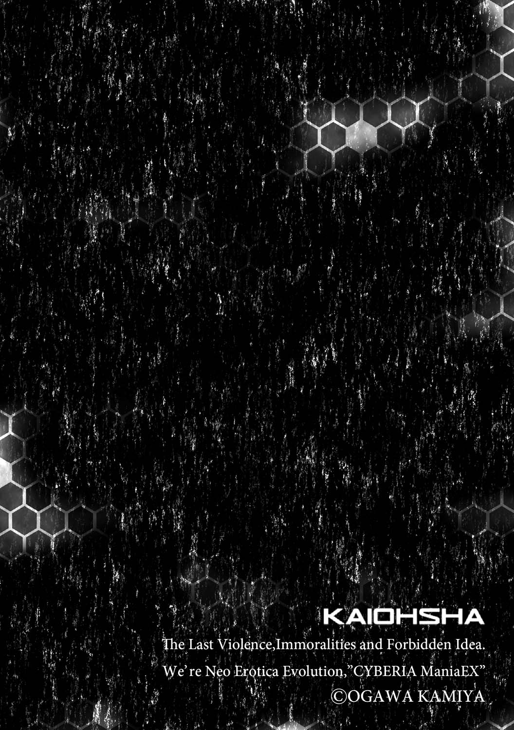 Kare ni mo Ienai Iinchou no Himitsu page 2 full