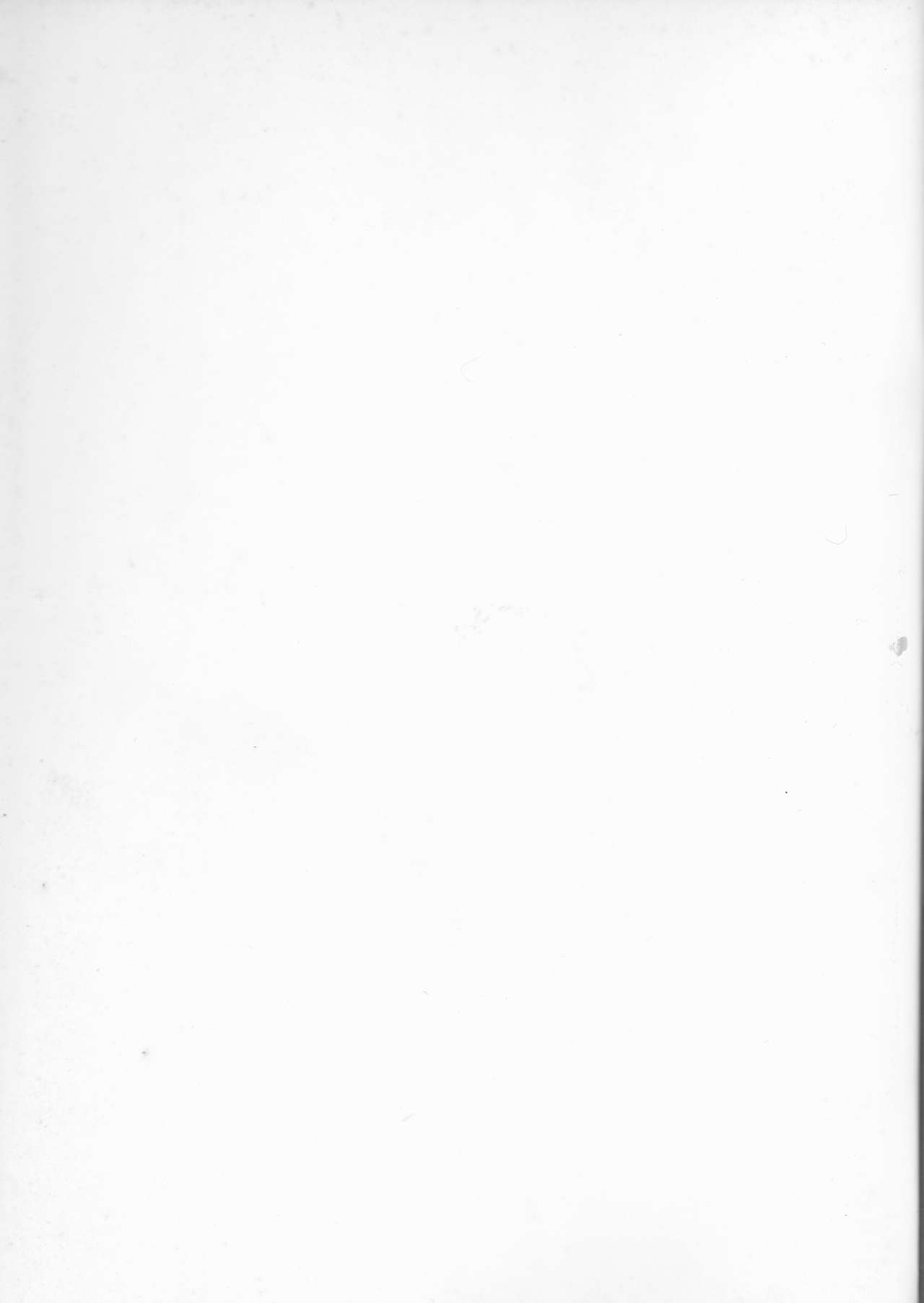 Nekotora -Nekoka no Onee-san wa Suki desu ka?- Fate/Stay Afternoon page 2 full