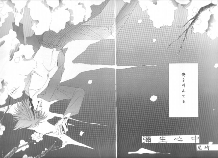 Bisei Shinjuu page 3 full