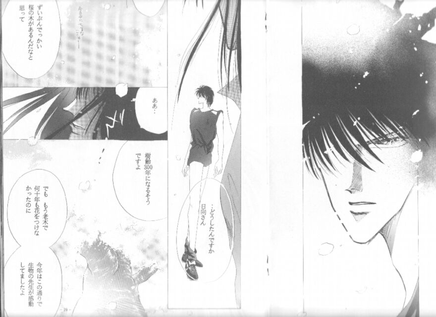 Bisei Shinjuu page 4 full