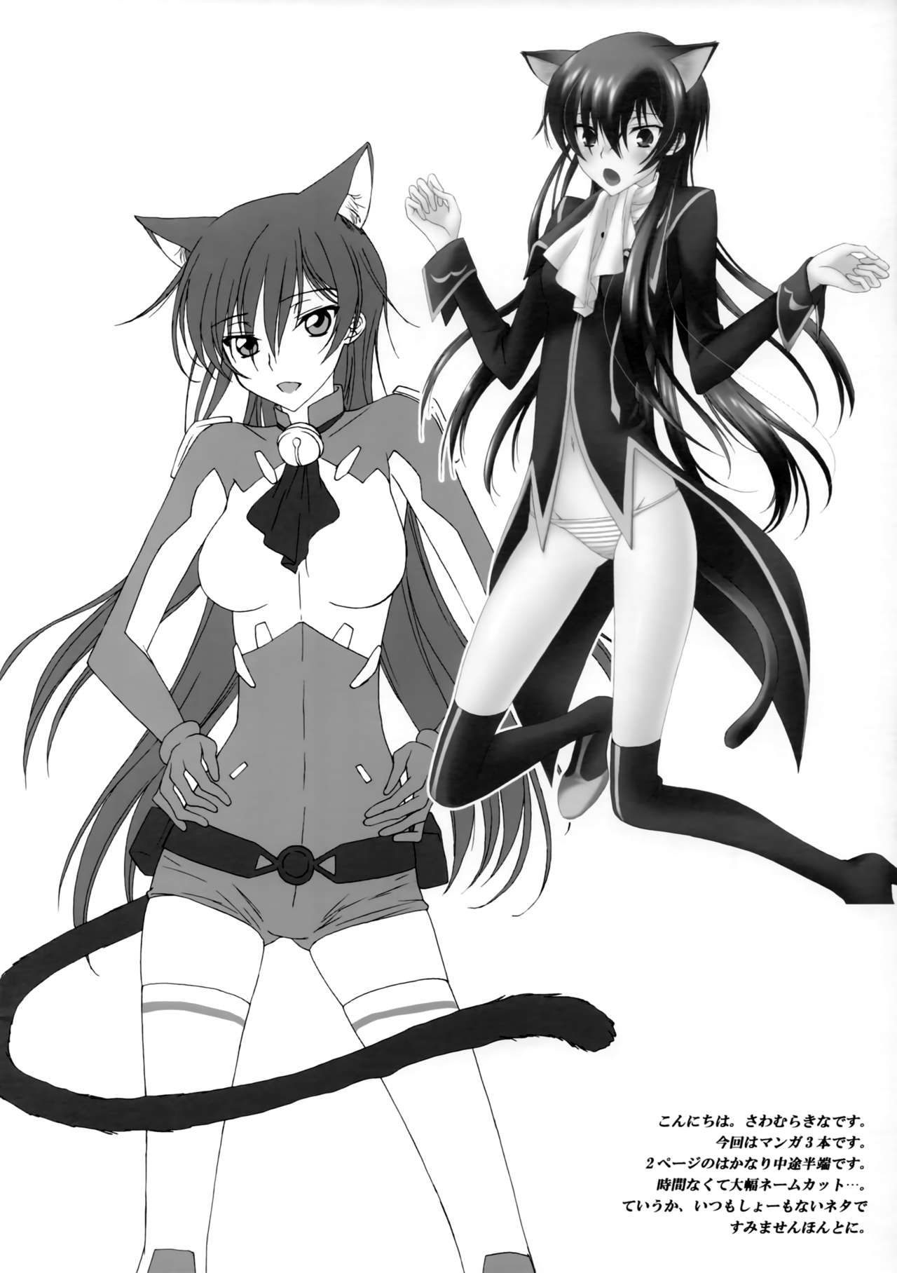 Strawberry Nyan Day page 3 full