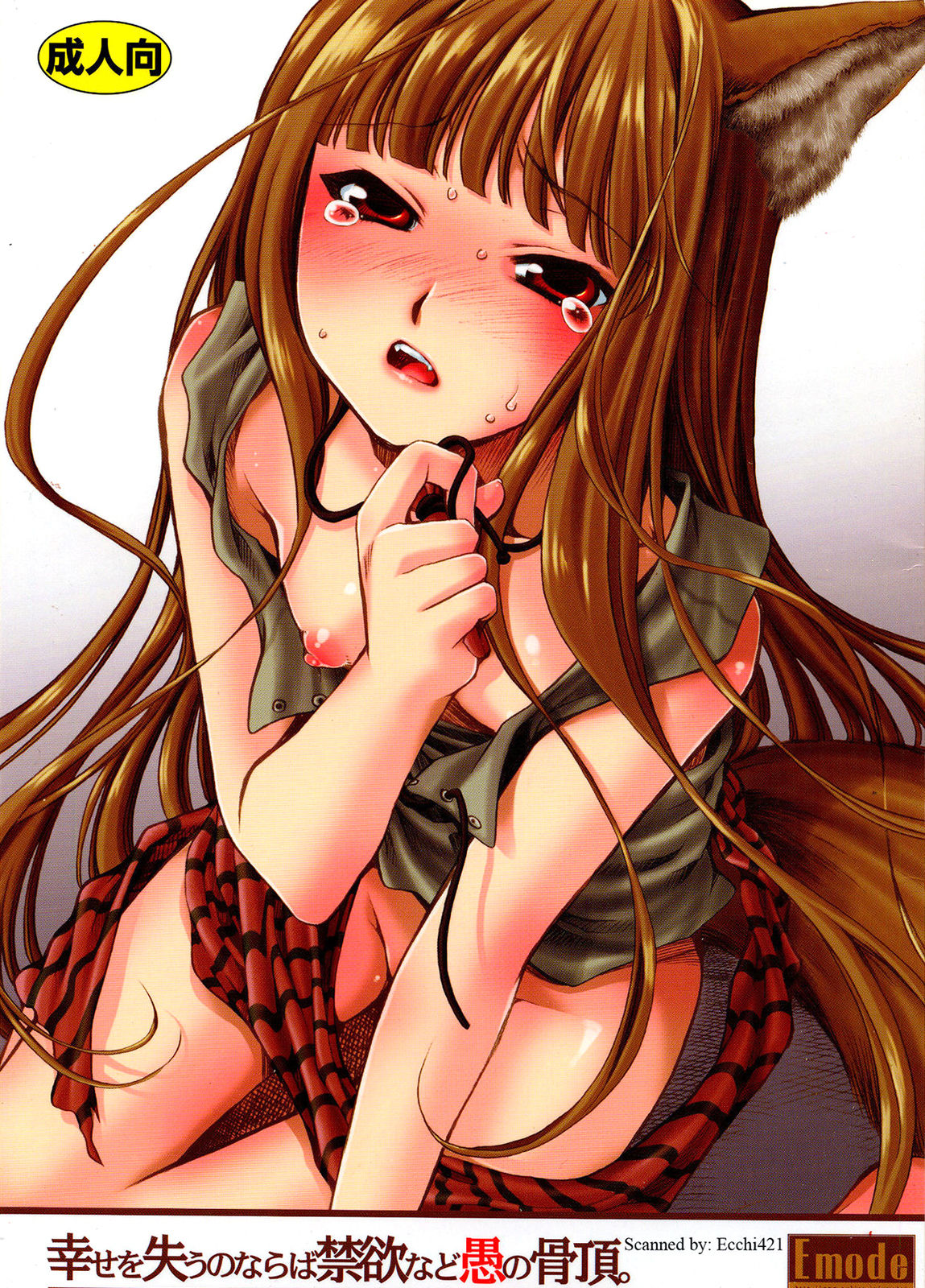 Shiawase o Ushinau no Naraba Kinyoku Nado Gu no Kocchou page 1 full