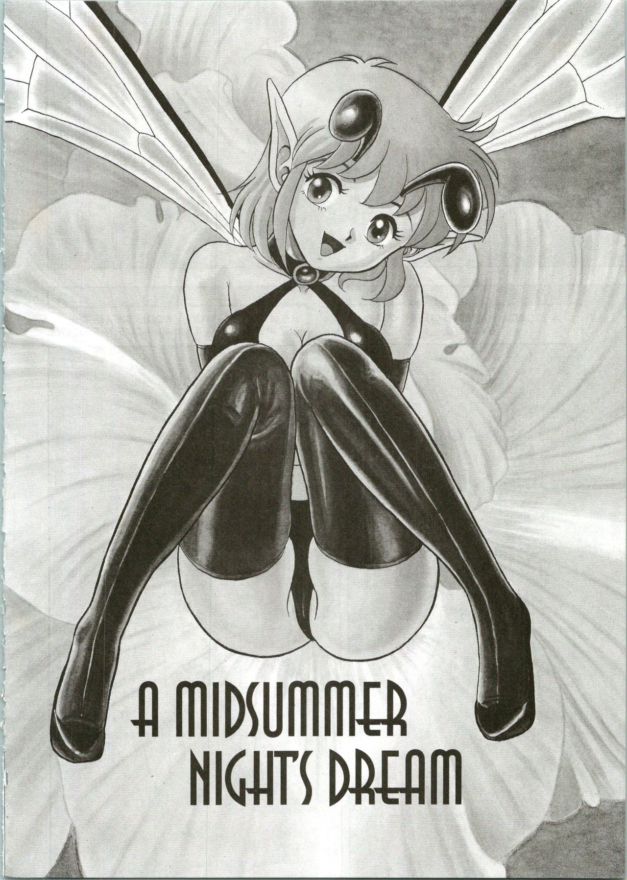 The New Bondage Fairies 10 page 3 full