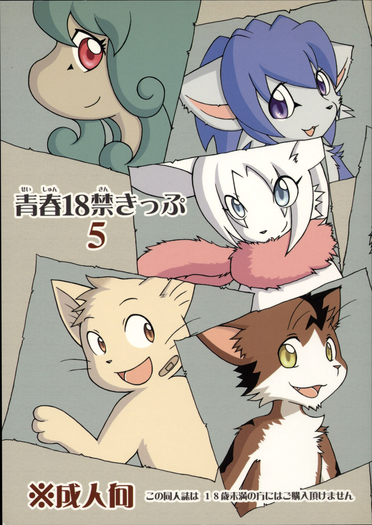 Seishun 18 Kin Kippu 5 page 1 full