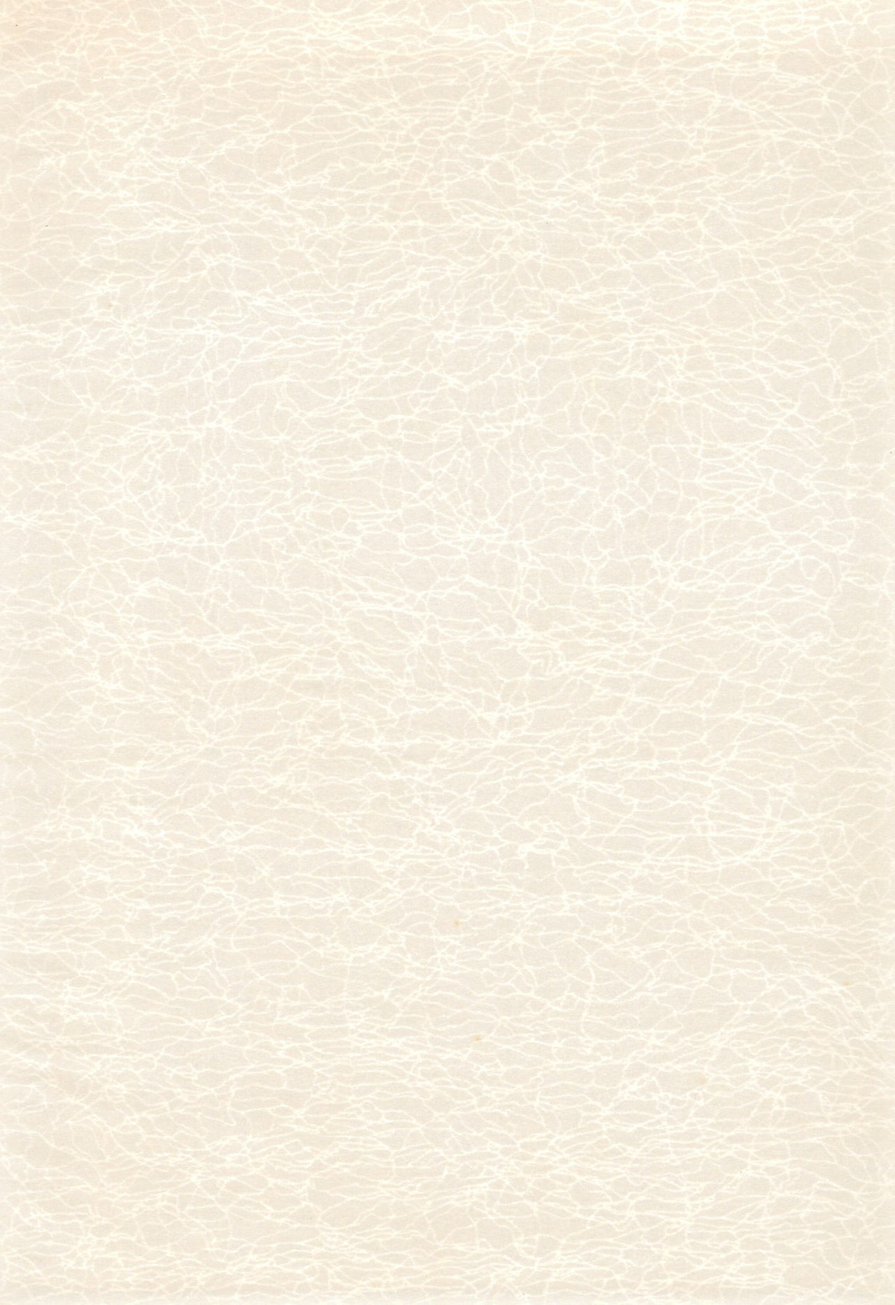 Codomore 2 page 4 full