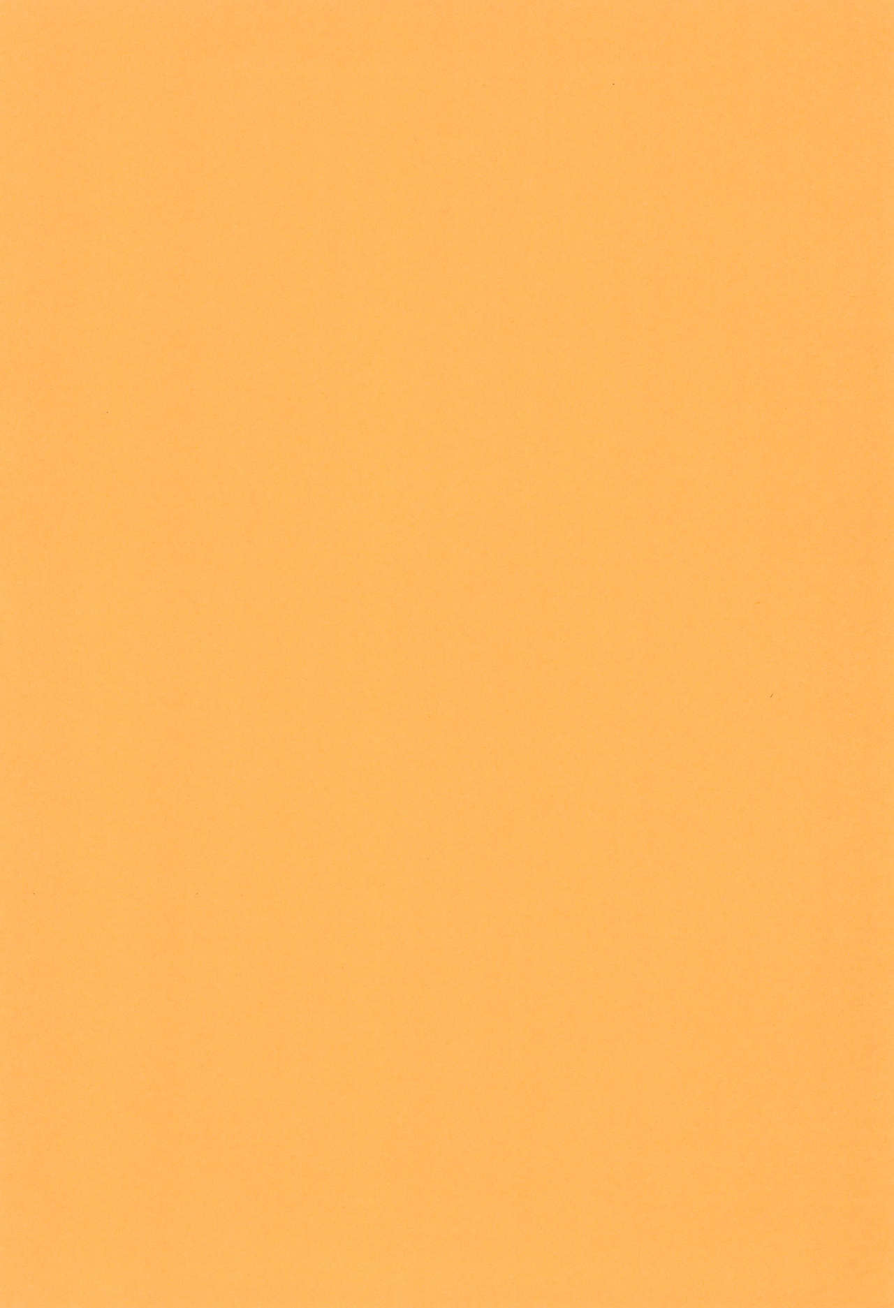 Petapeta 4 page 4 full