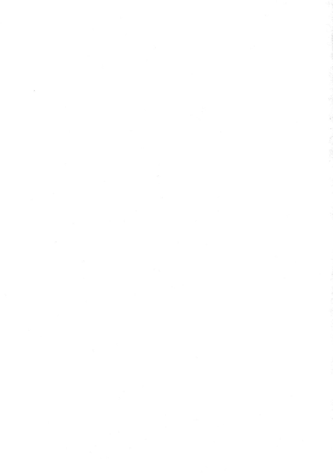 TOHO N+ MOON RACE page 2 full