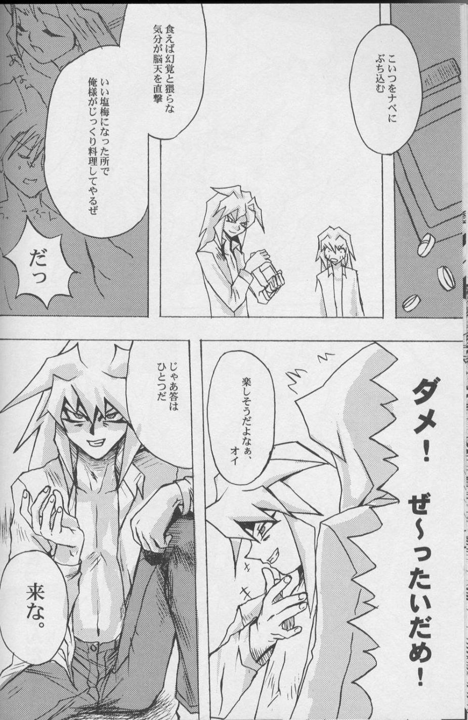 TapirholiSM page 10 full