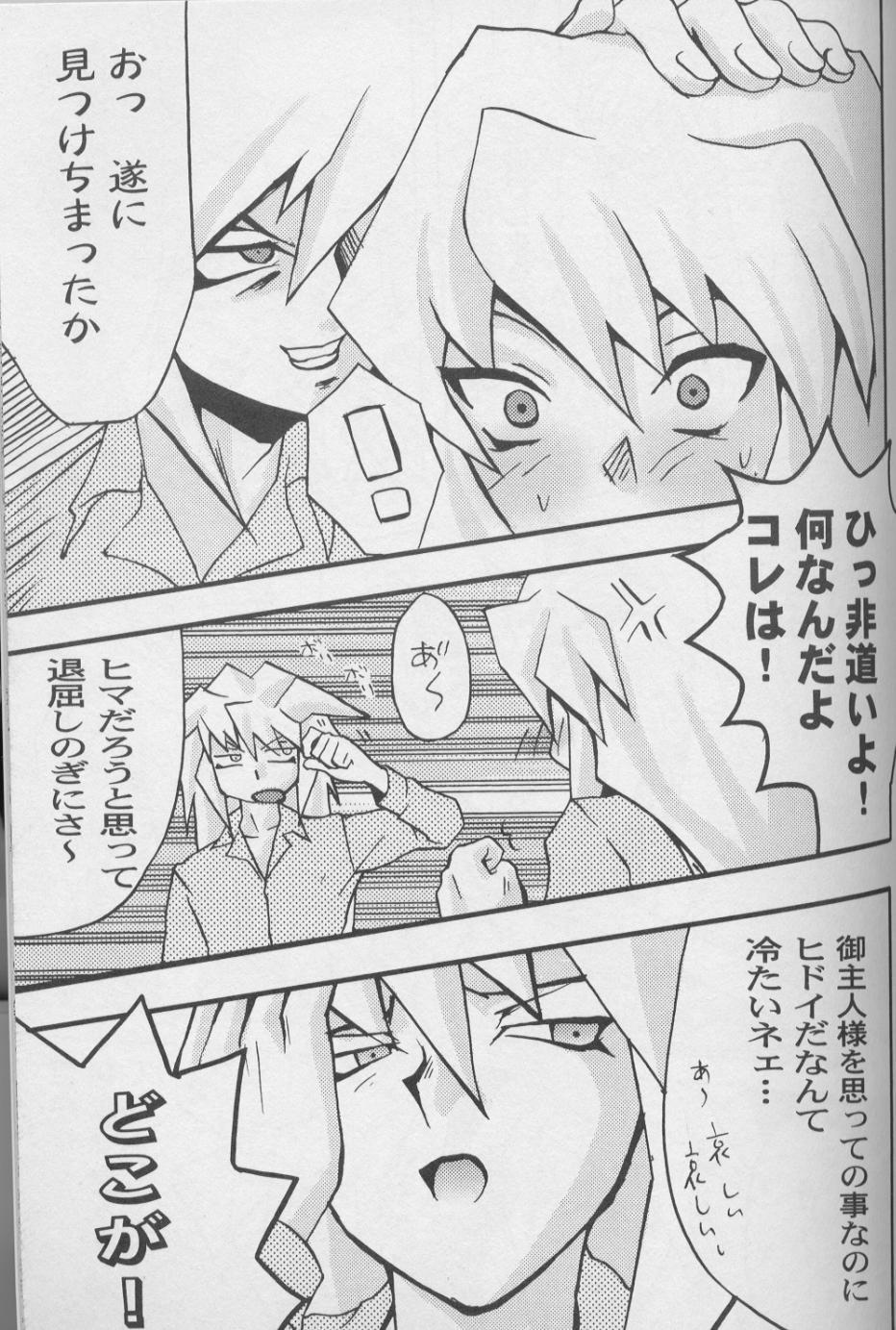 TapirholiSM page 7 full