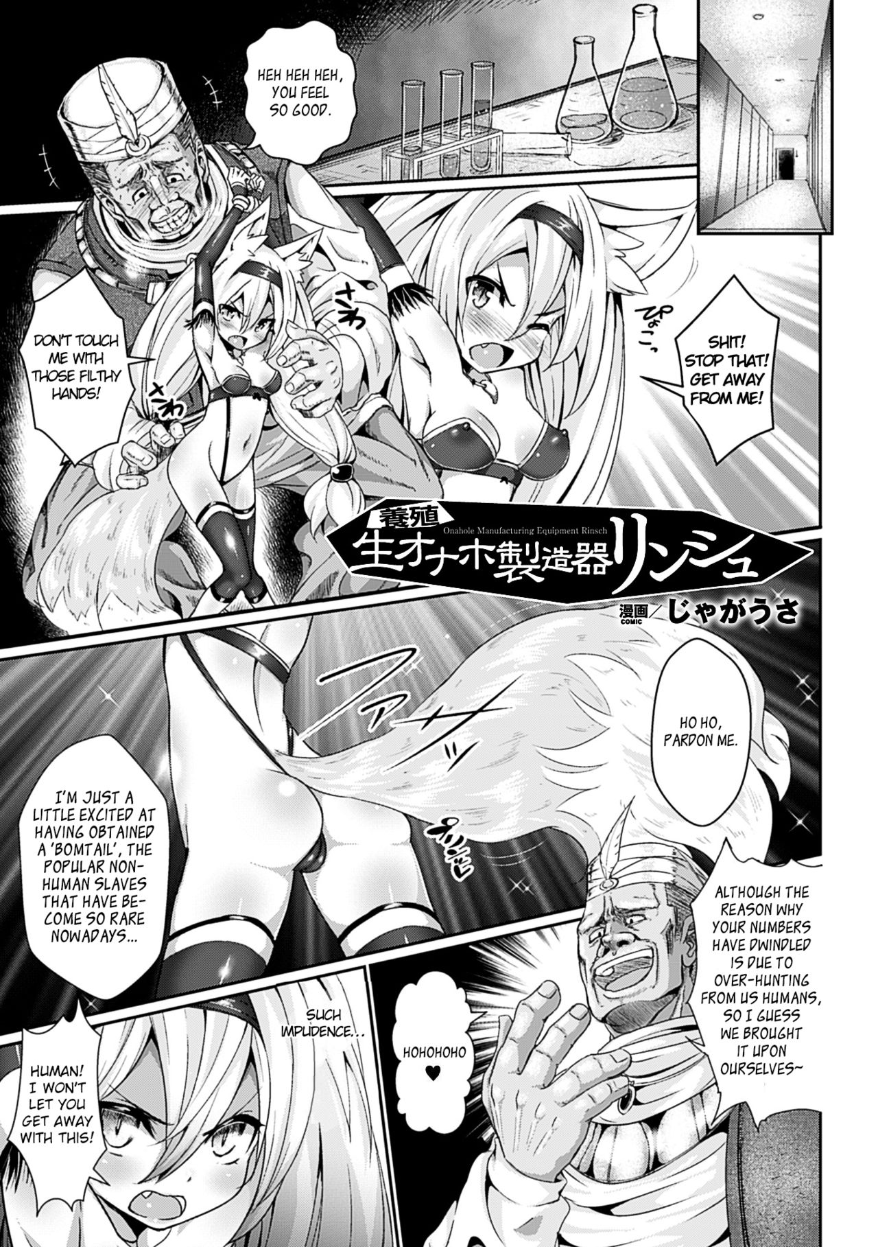 Youshoku Nama Onahole Seizouki Rinsch | Onahole Manufacturing Equipment Rinsch   =Rinruririn= page 1 full