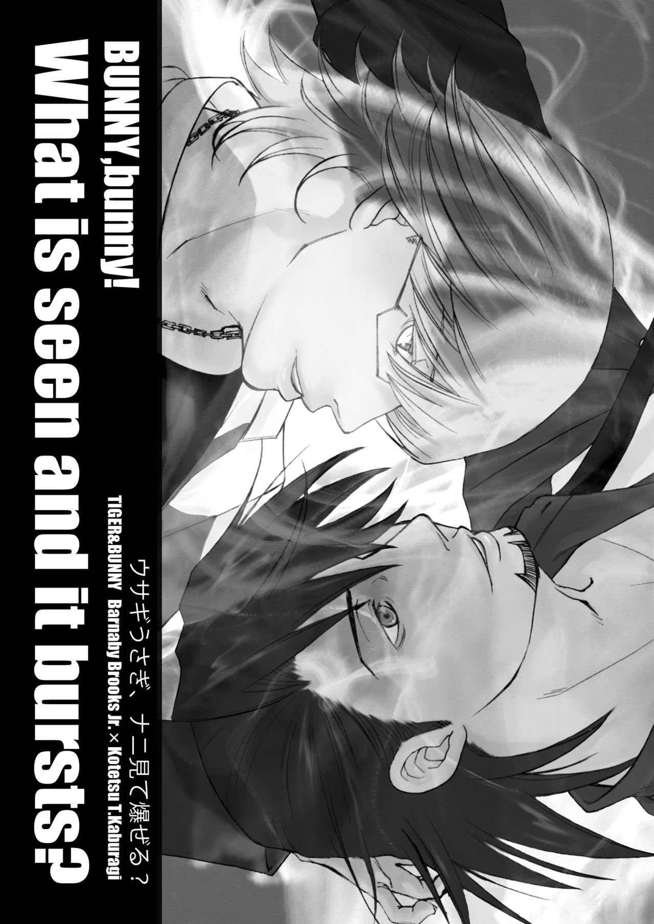 Usagi Usagi, Nani Mite Hazeru page 2 full