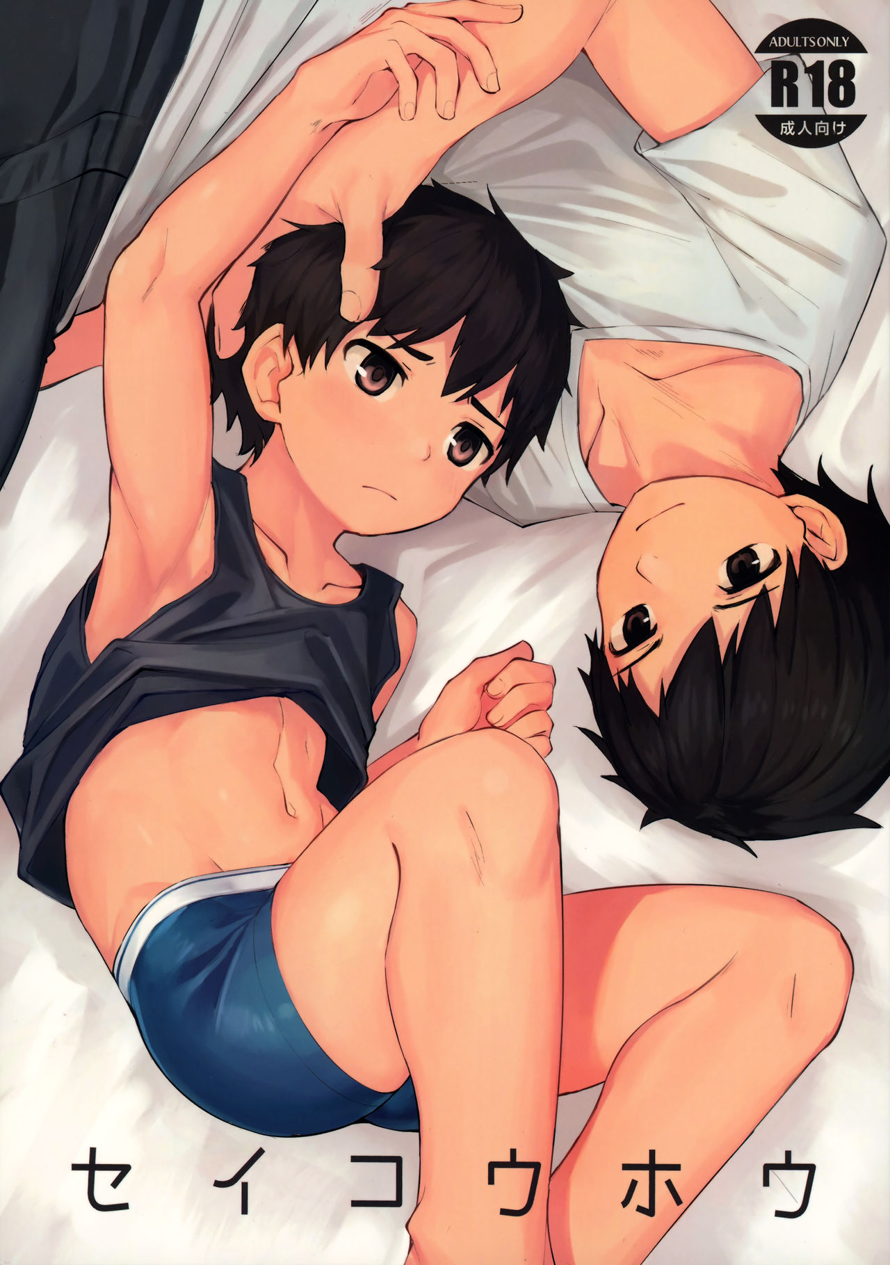 Seikouhou page 1 full