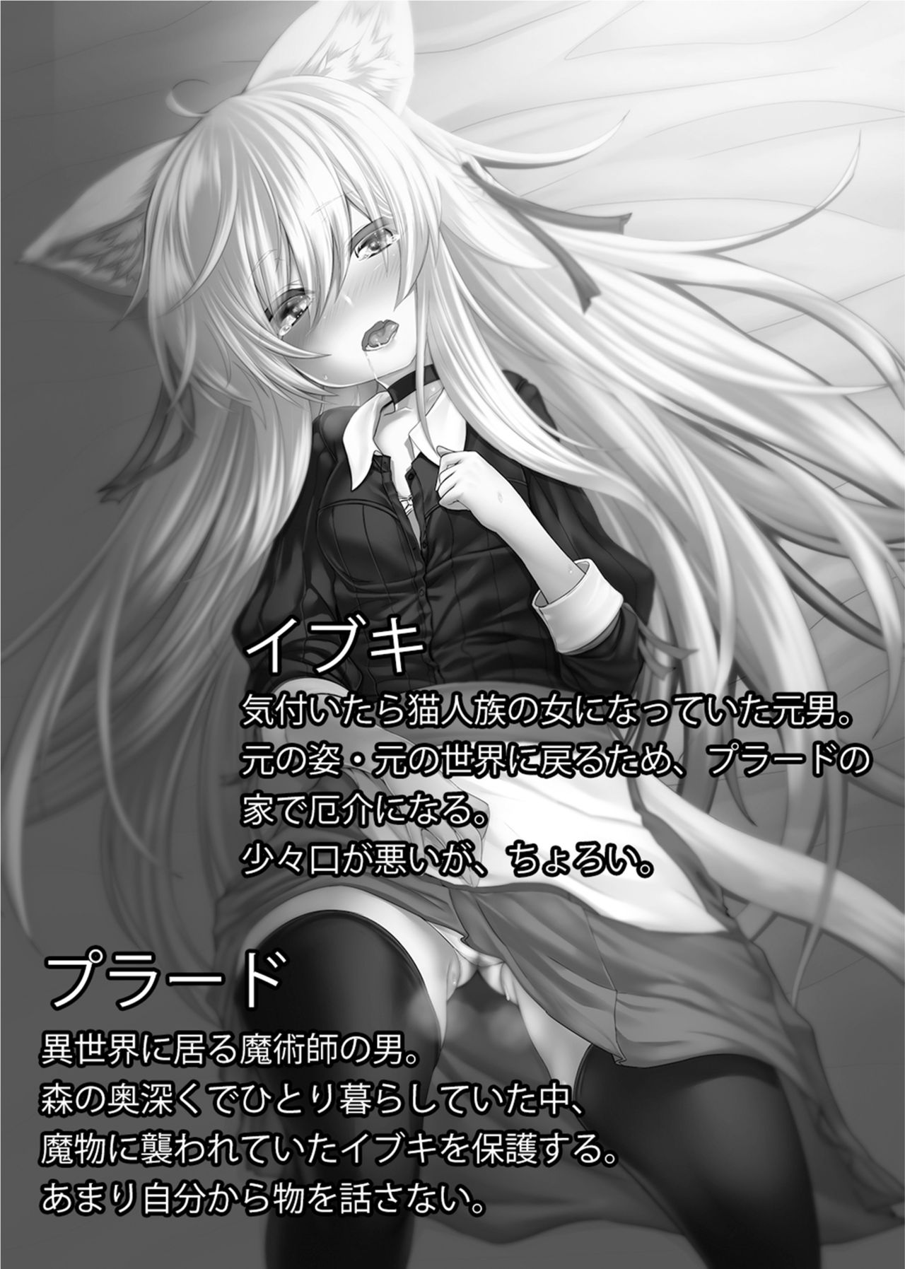 Wakeari Majutsushi ni Hirowareta Tensei TS Loli Nyanko ga Mesu Ochi shite IchaLove H suru You ni Naru made no Ohanashi page 4 full