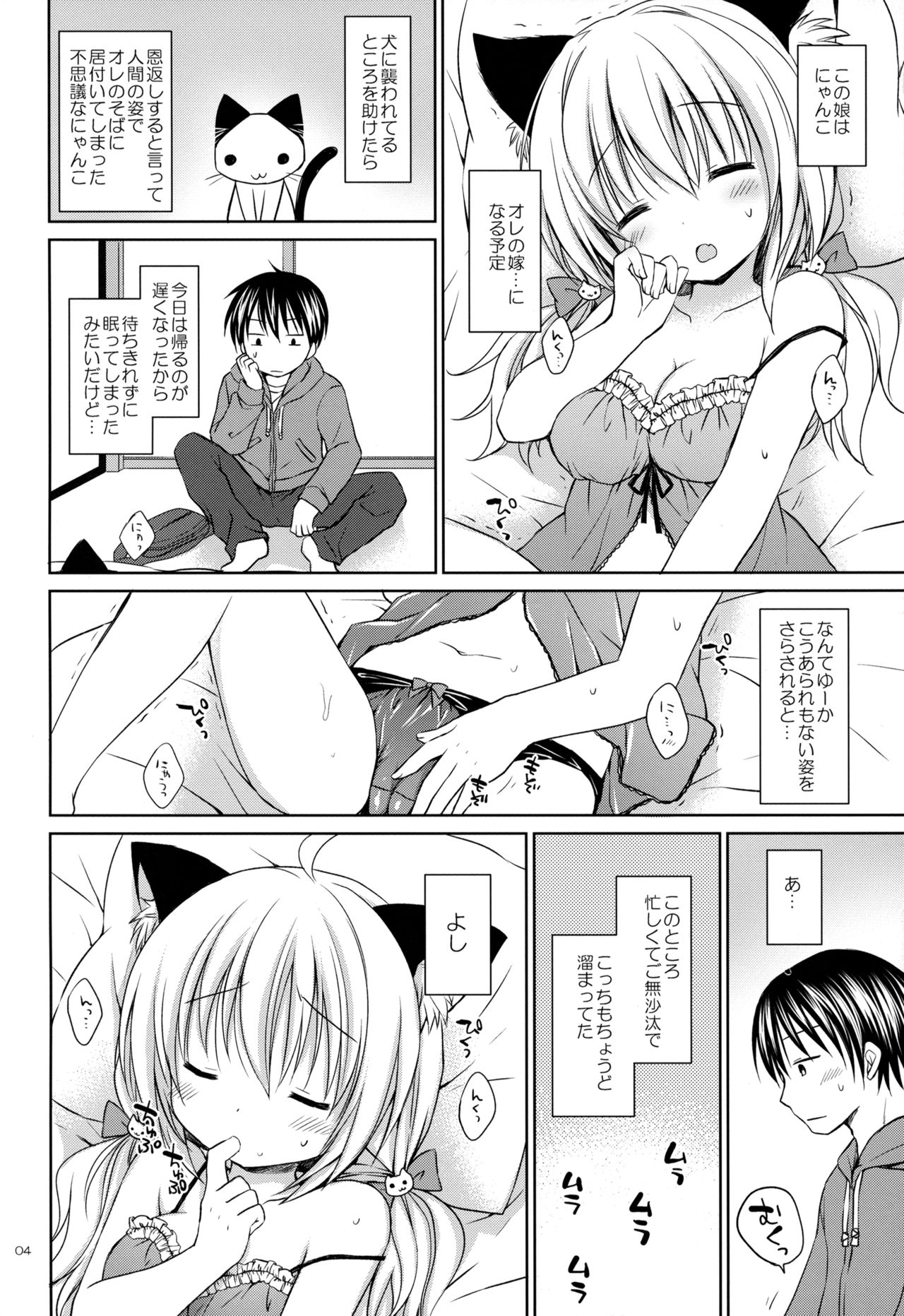 Nyanko Yome no Hatsujouki page 3 full