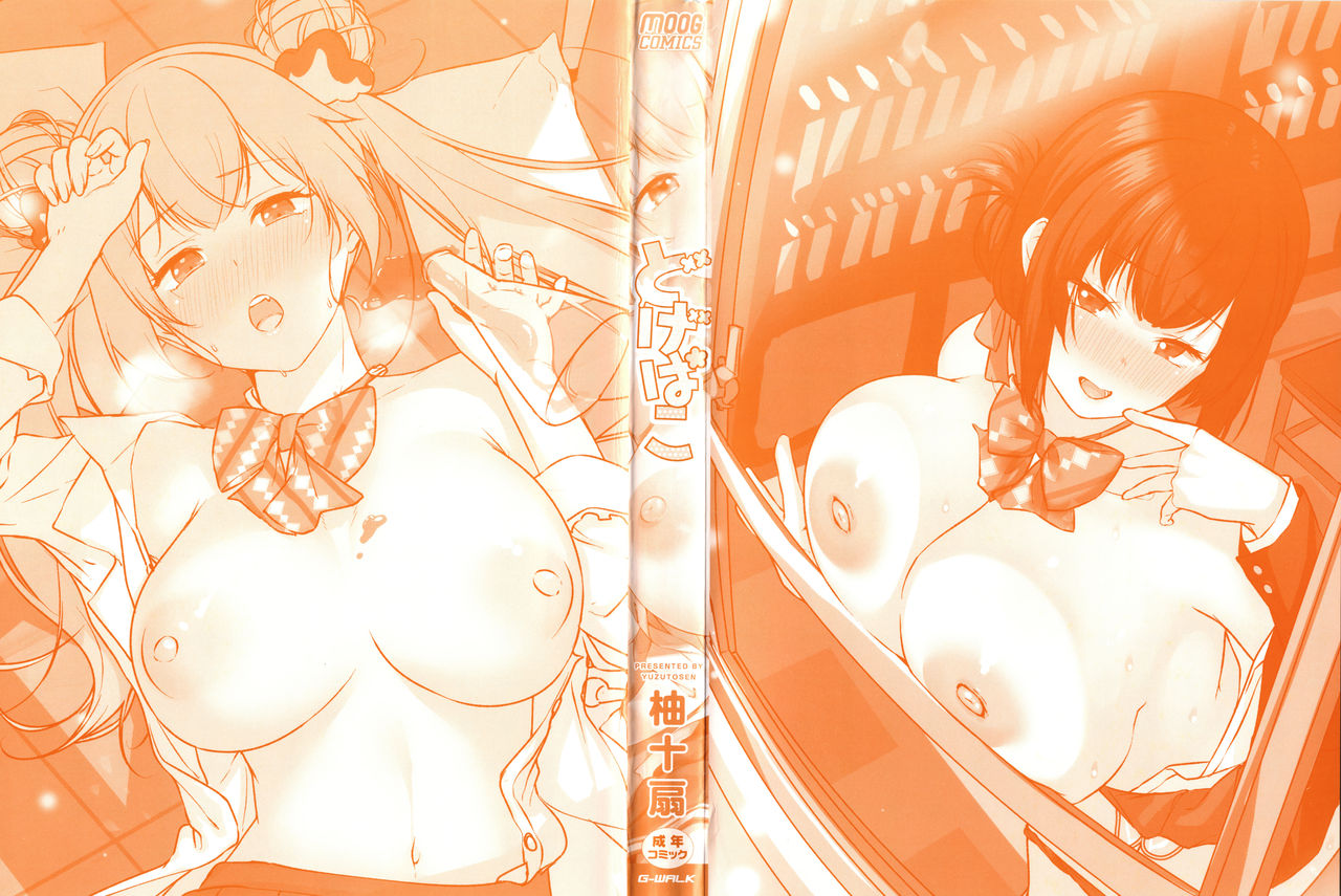 Dogepako page 3 full