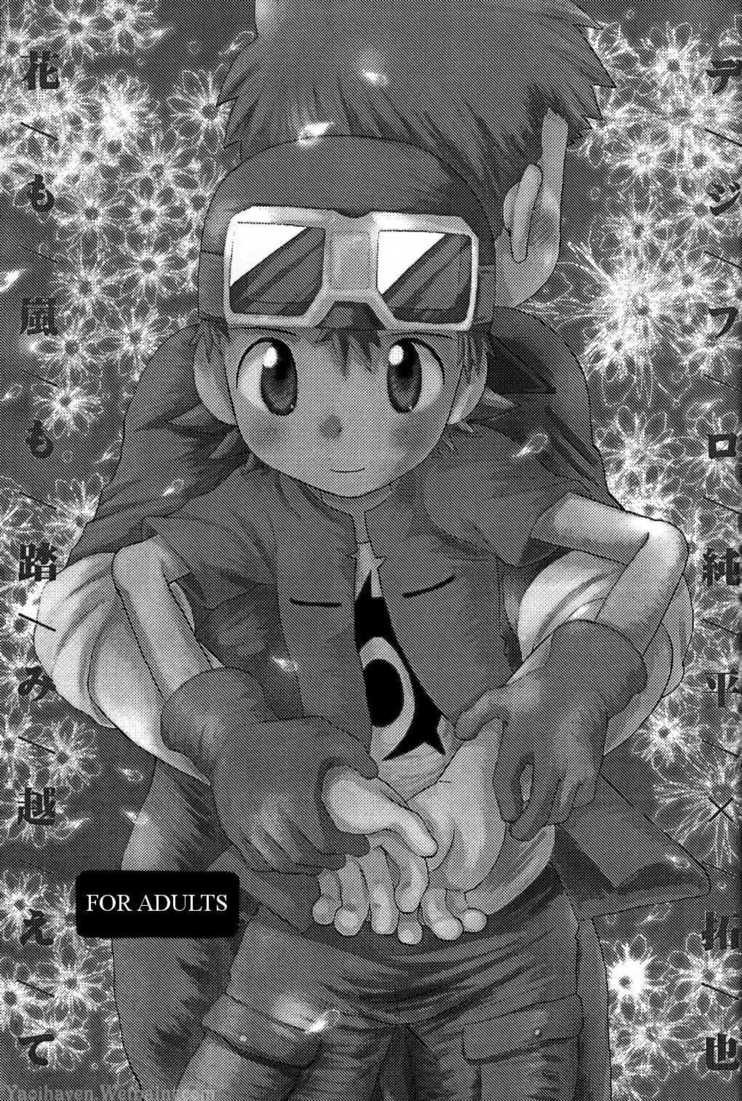 Hana mo Arashi mo Fumikoete | To Overcome Flowers and Storms page 3 full