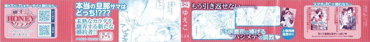 Hanayome Shikkaku。～Nanji、Ikanaru Toki mo Fushidara ni Aege Vol. 2 page 2 full