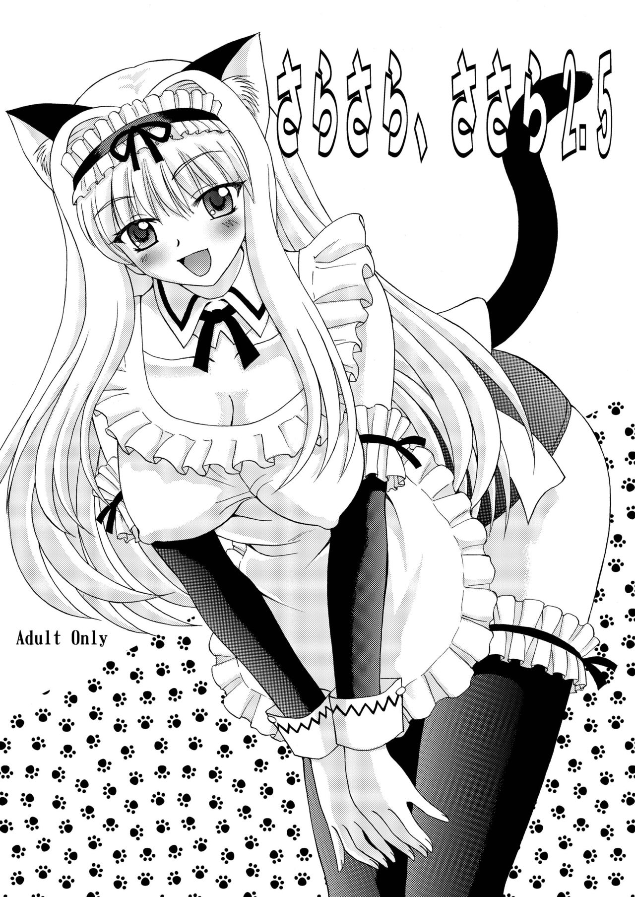 Sarasara, Sasara 2.5 page 1 full