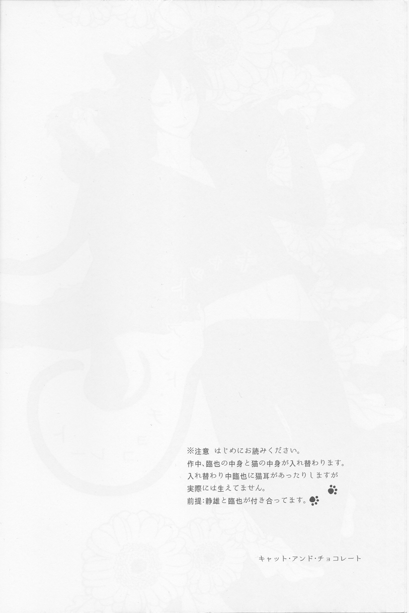 Cat & Chocolate page 3 full