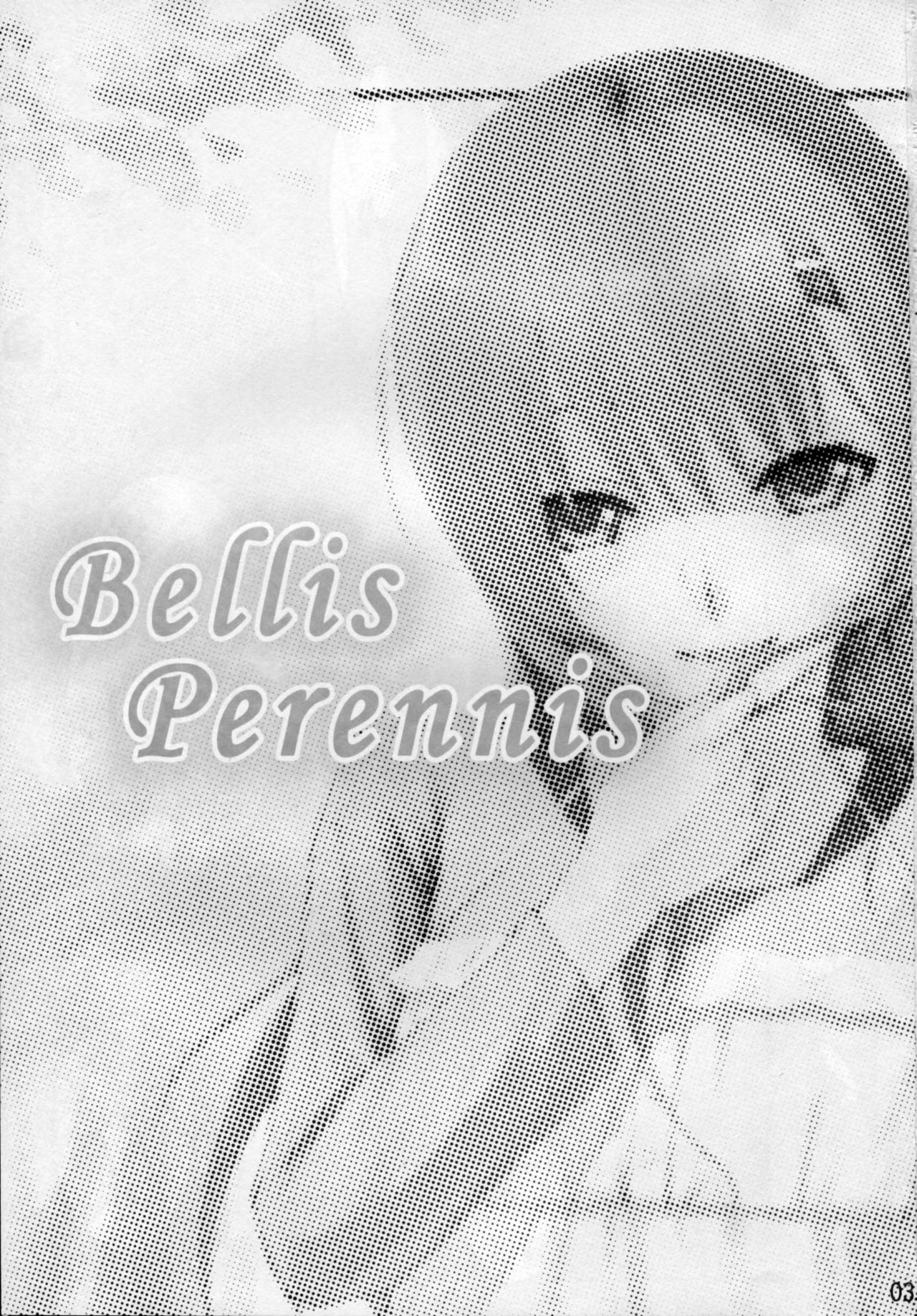 Bellis Perennis page 2 full
