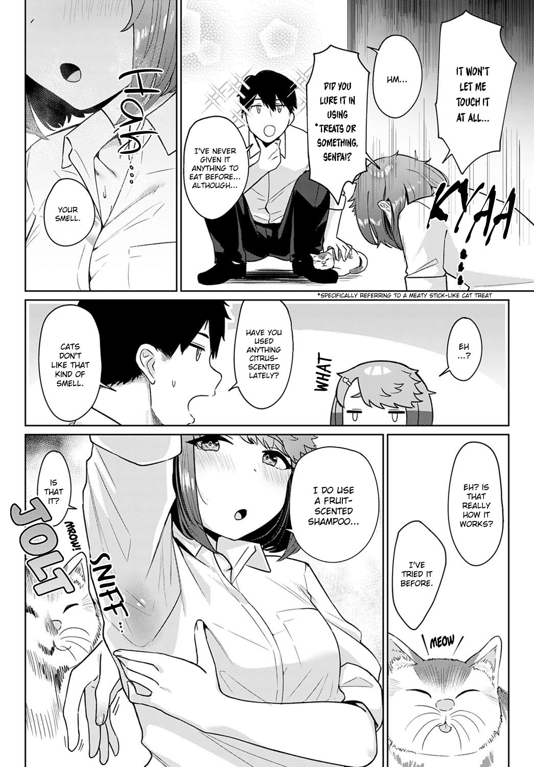 Neko nochi Amayadori page 3 full