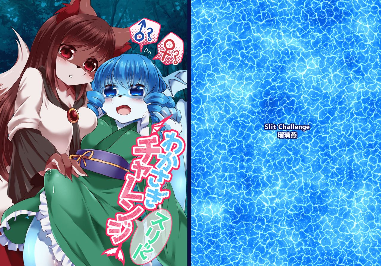 Wakasagi Slit Challenge page 1 full