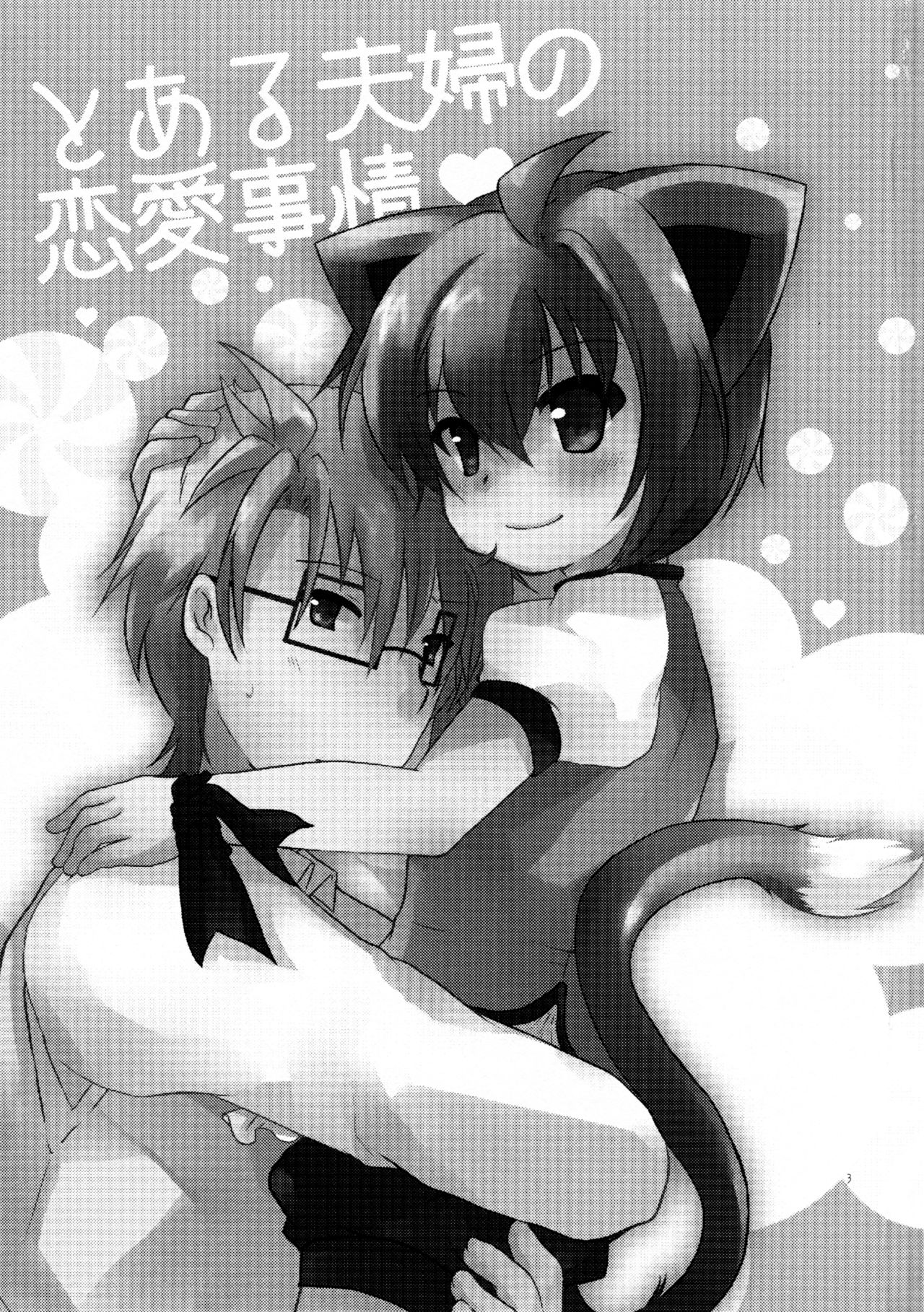 Toaru Fuufu no Renai Jijou page 2 full