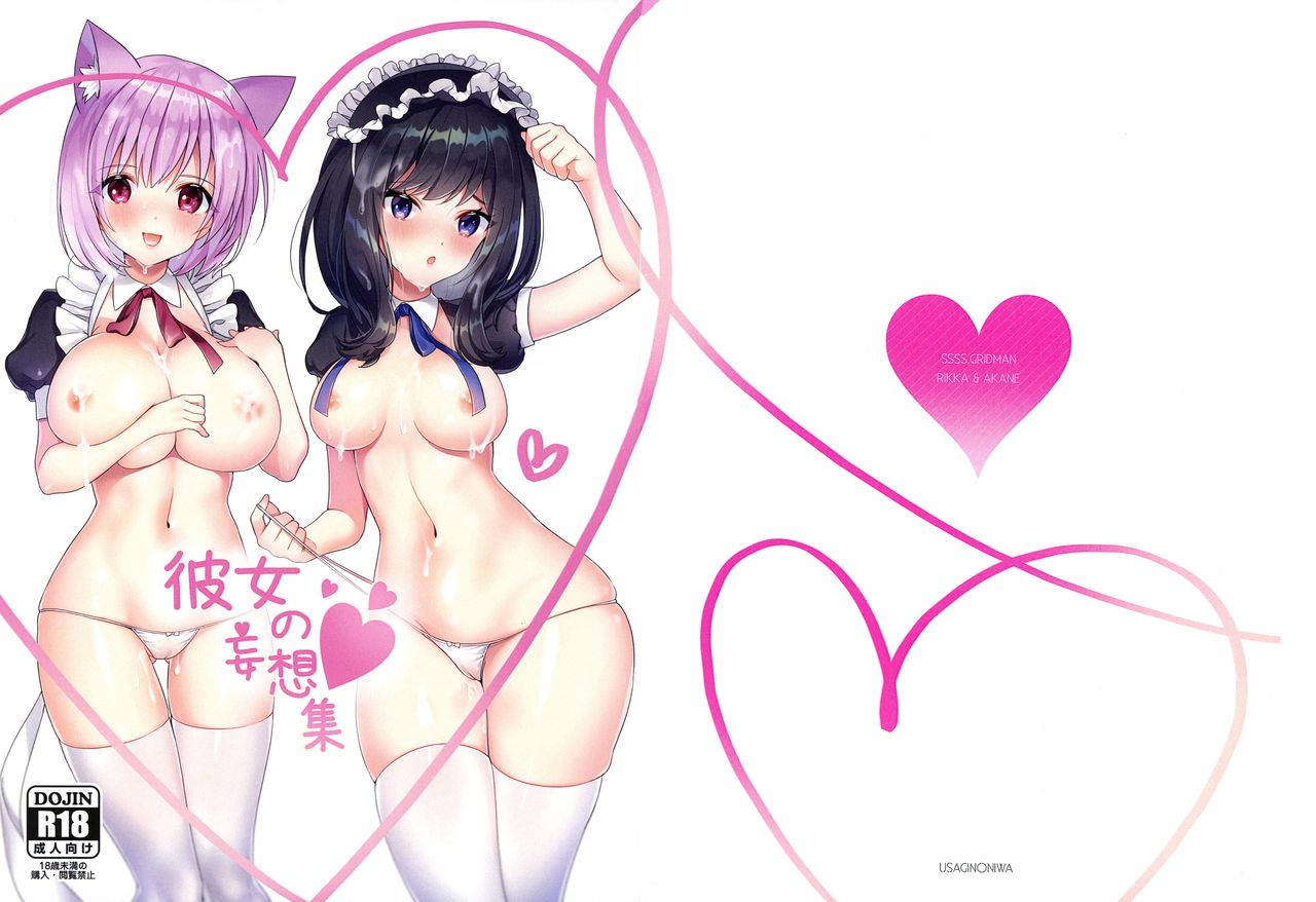 Kanojo no Mousou Shuu page 1 full