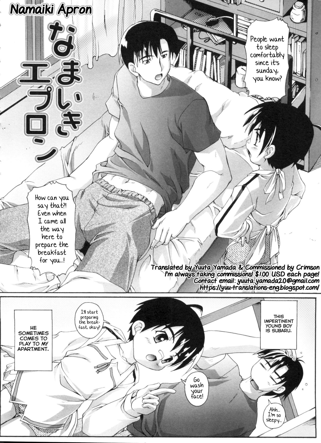 Namaiki Apron page 2 full